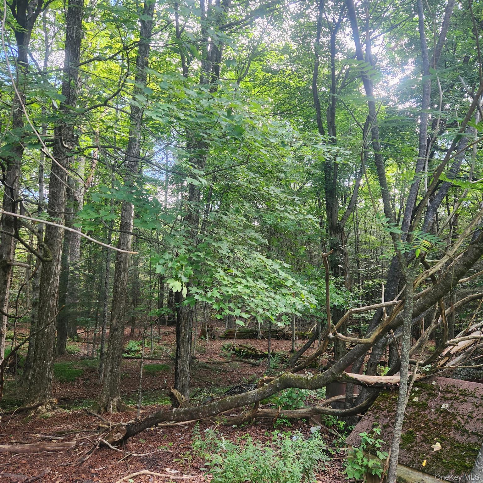 Single Family Aden Hill Road Sullivan County, NY 12768, MLS-1047444-6