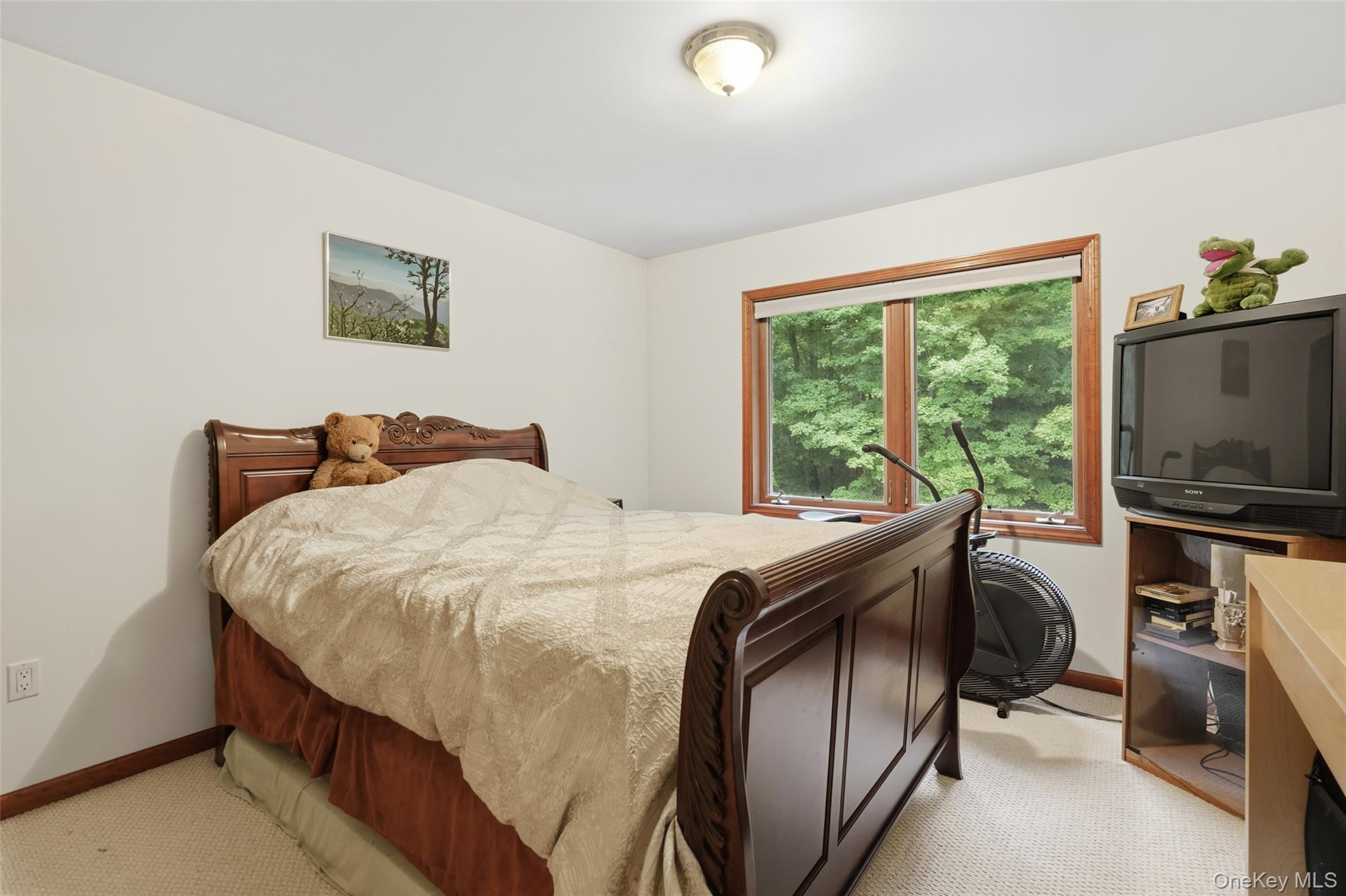 Single Family Bray Farm Lane Dutchess County, NY 12590, MLS-1047464-22