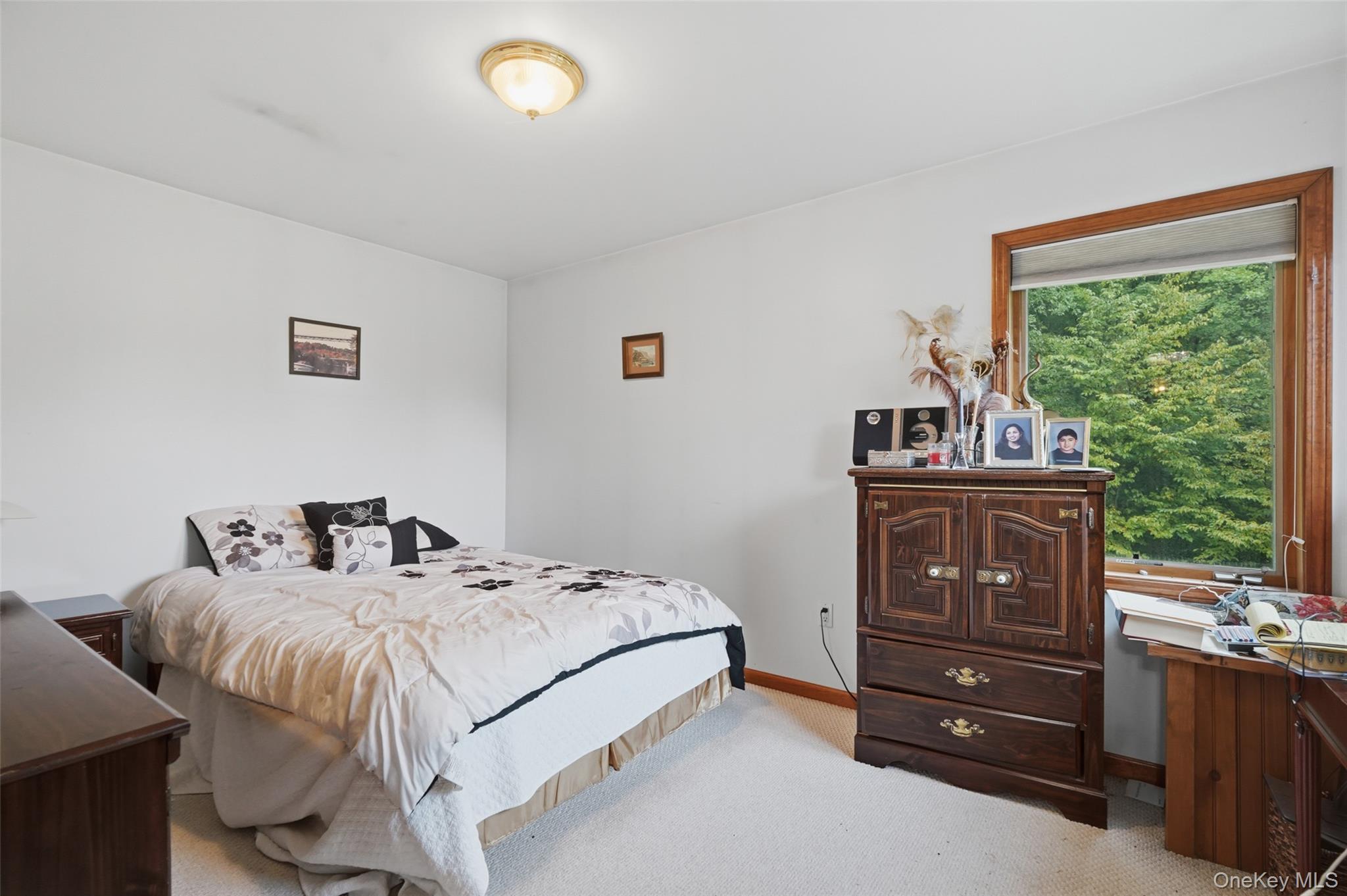 Single Family Bray Farm Lane Dutchess County, NY 12590, MLS-1047464-23