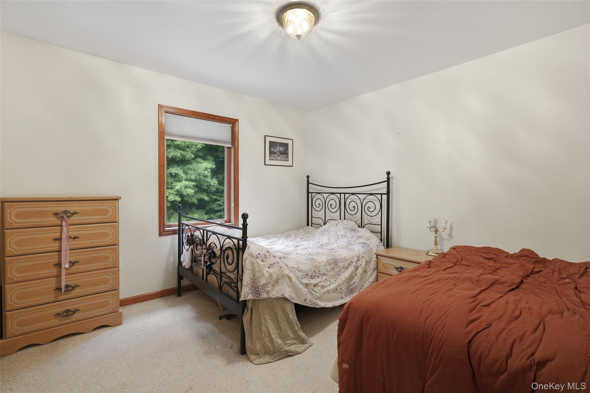 Single Family Bray Farm Lane Dutchess County, NY 12590, MLS-1047464-24