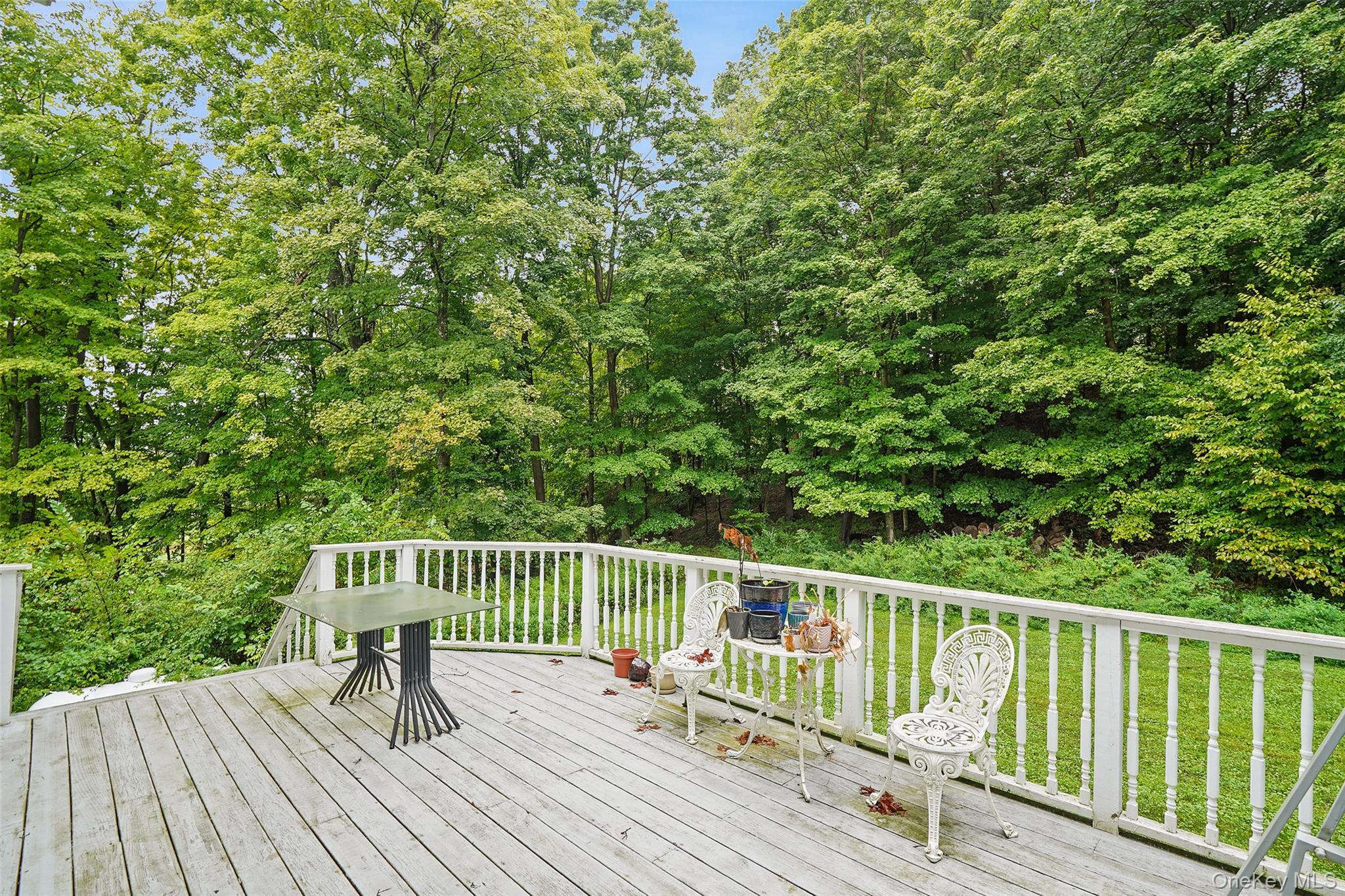 Single Family Bray Farm Lane Dutchess County, NY 12590, MLS-1047464-31