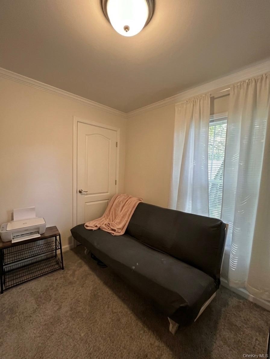 Single Family Celeste Drive Dutchess County, NY 12522, MLS-1047515-16