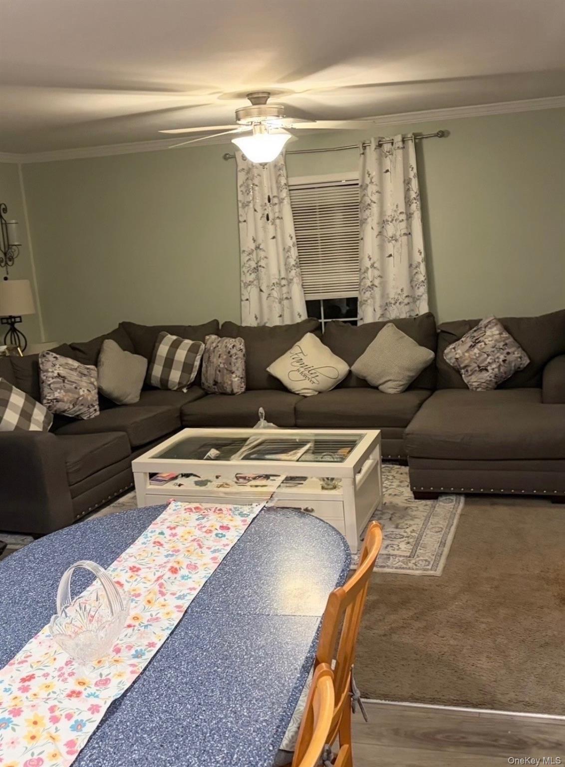 Single Family Celeste Drive Dutchess County, NY 12522, MLS-1047515-8
