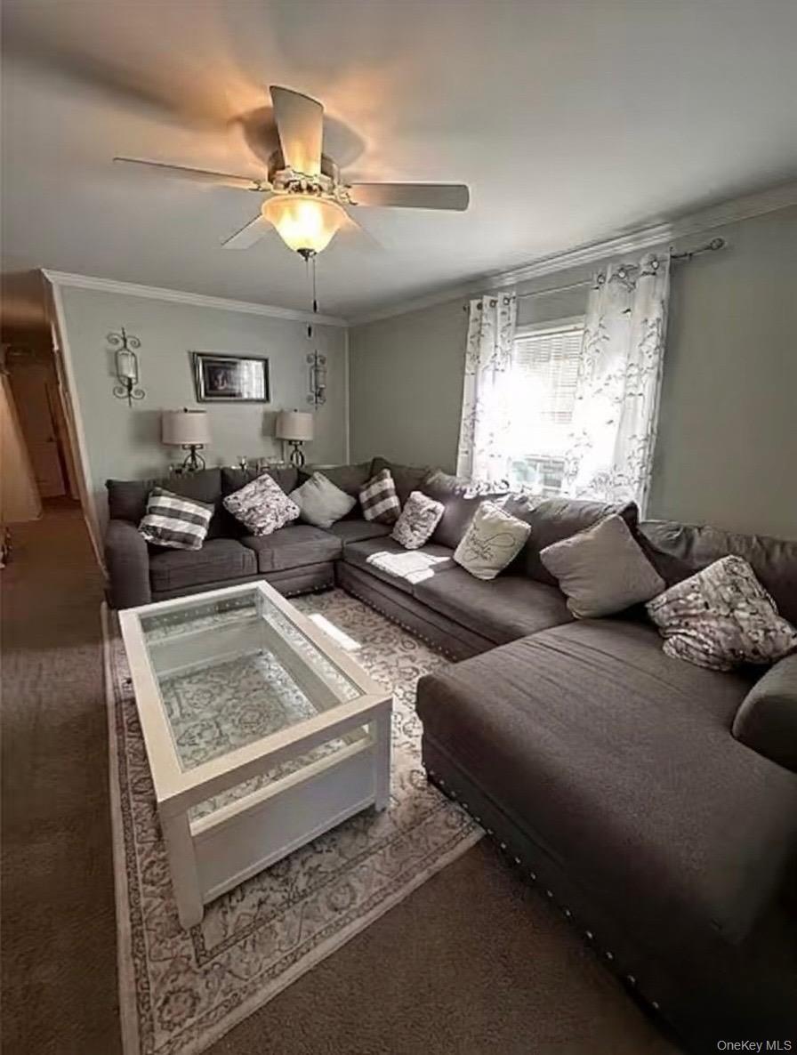 Single Family Celeste Drive Dutchess County, NY 12522, MLS-1047515-9
