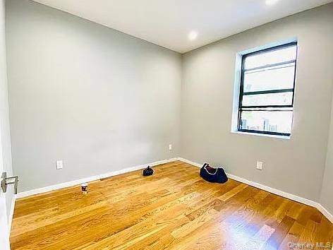 Single Family Jamaica Avenue  Queens, NY 11418, MLS-1047526-19