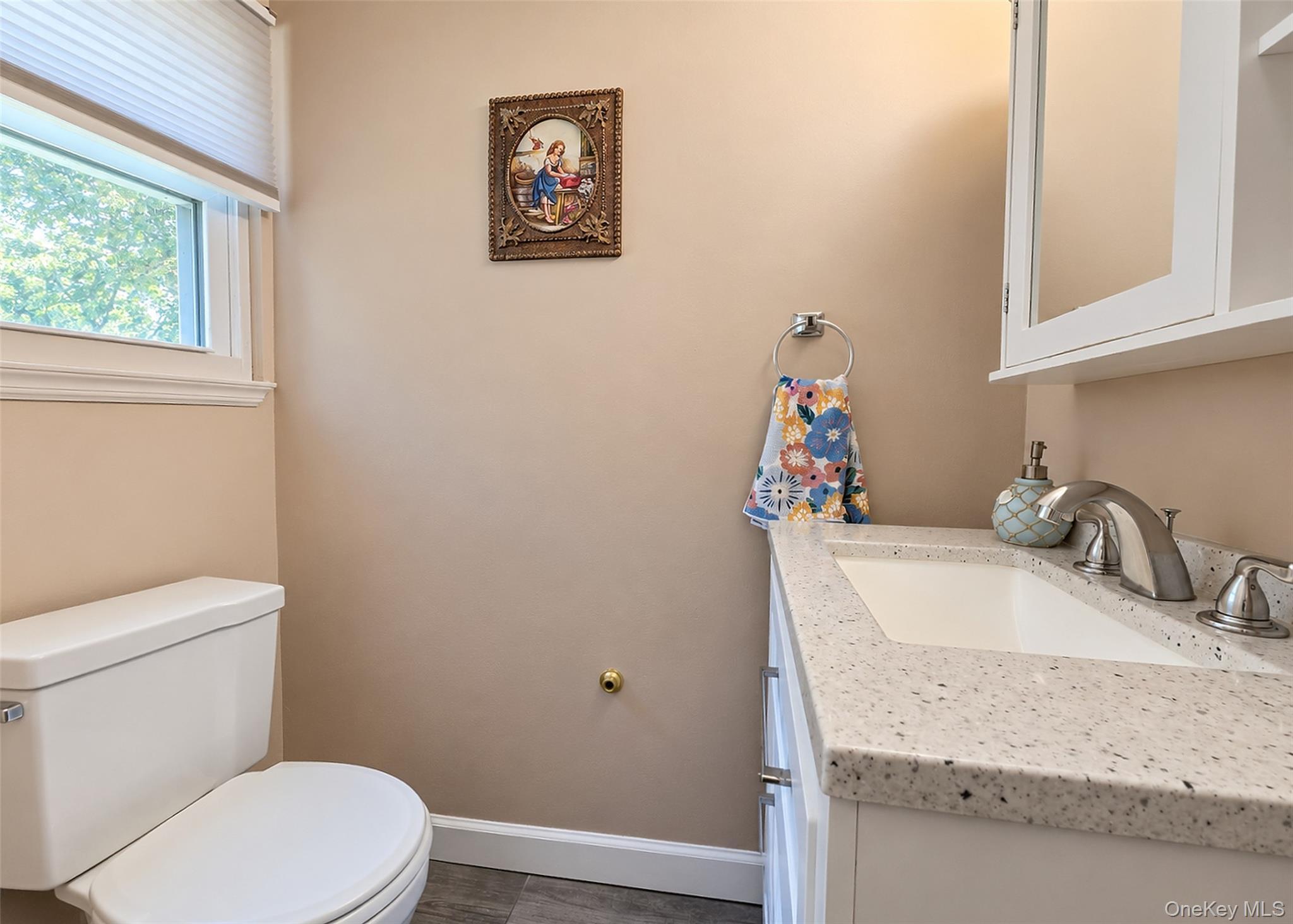 Single Family Lisa Lane  Suffolk County, NY 11776, MLS-1047527-16