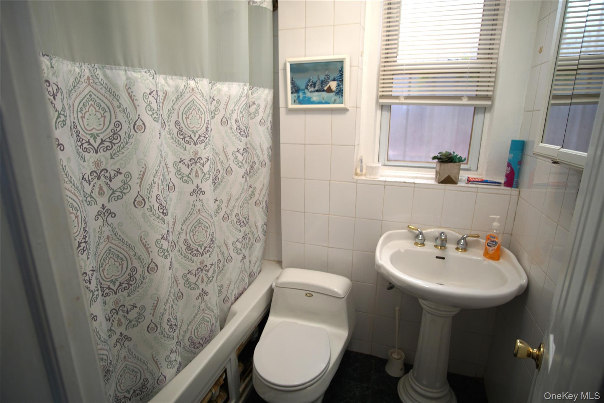 Single Family Esplanade Avenue  Bronx, NY 10469, MLS-1047587-8