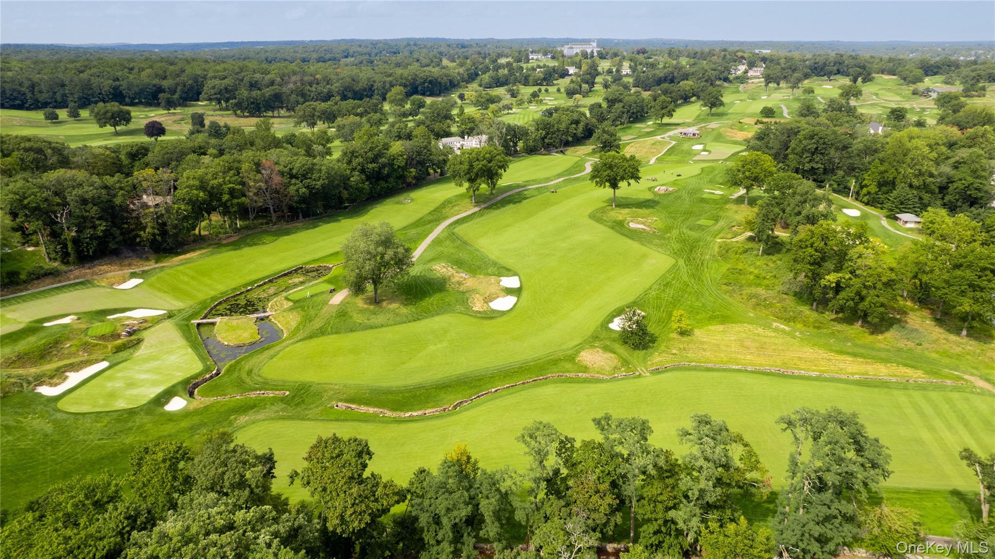 Single Family Locust Avenue Westchester County, NY 10580, MLS-1047642-3