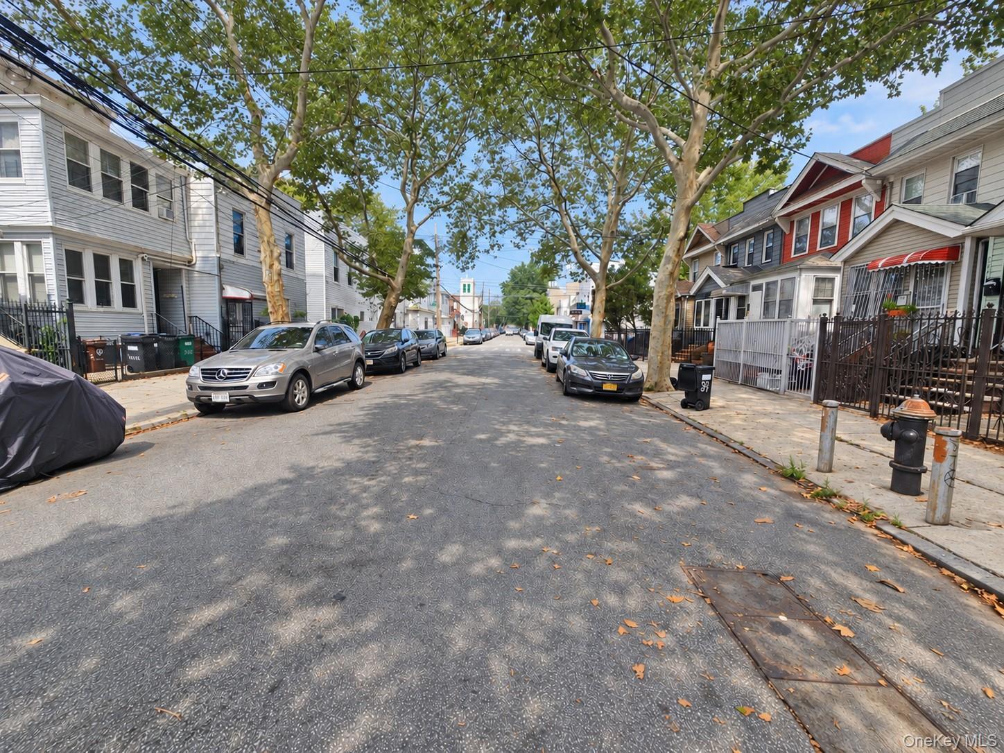 Single Family 80th Street Queens, NY 11421, MLS-1047712-25
