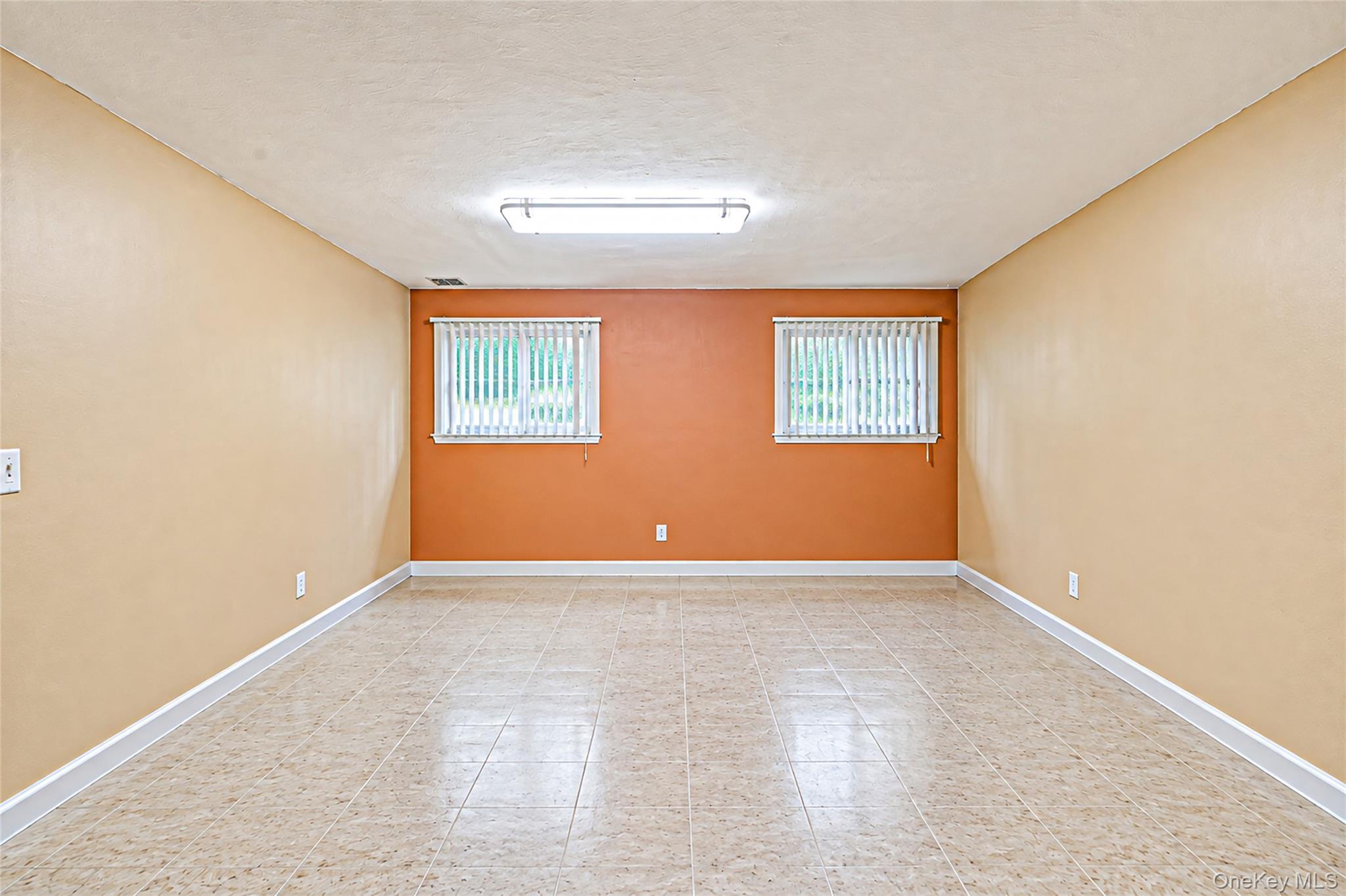 Single Family N Virginia Avenue Nassau County, NY 11758, MLS-1047770-14