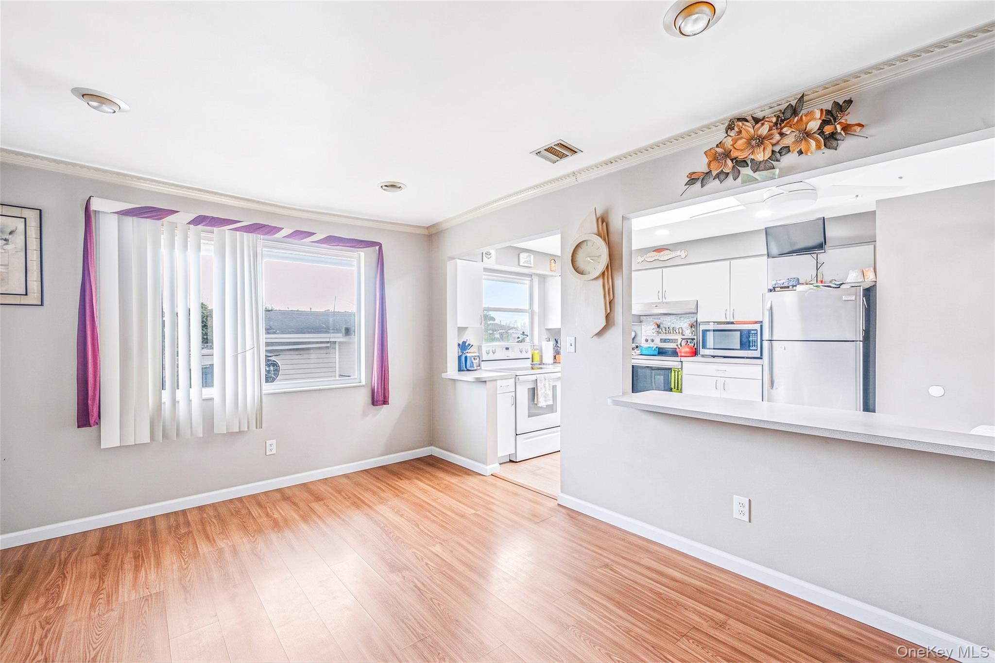 Single Family N Virginia Avenue Nassau County, NY 11758, MLS-1047770-21