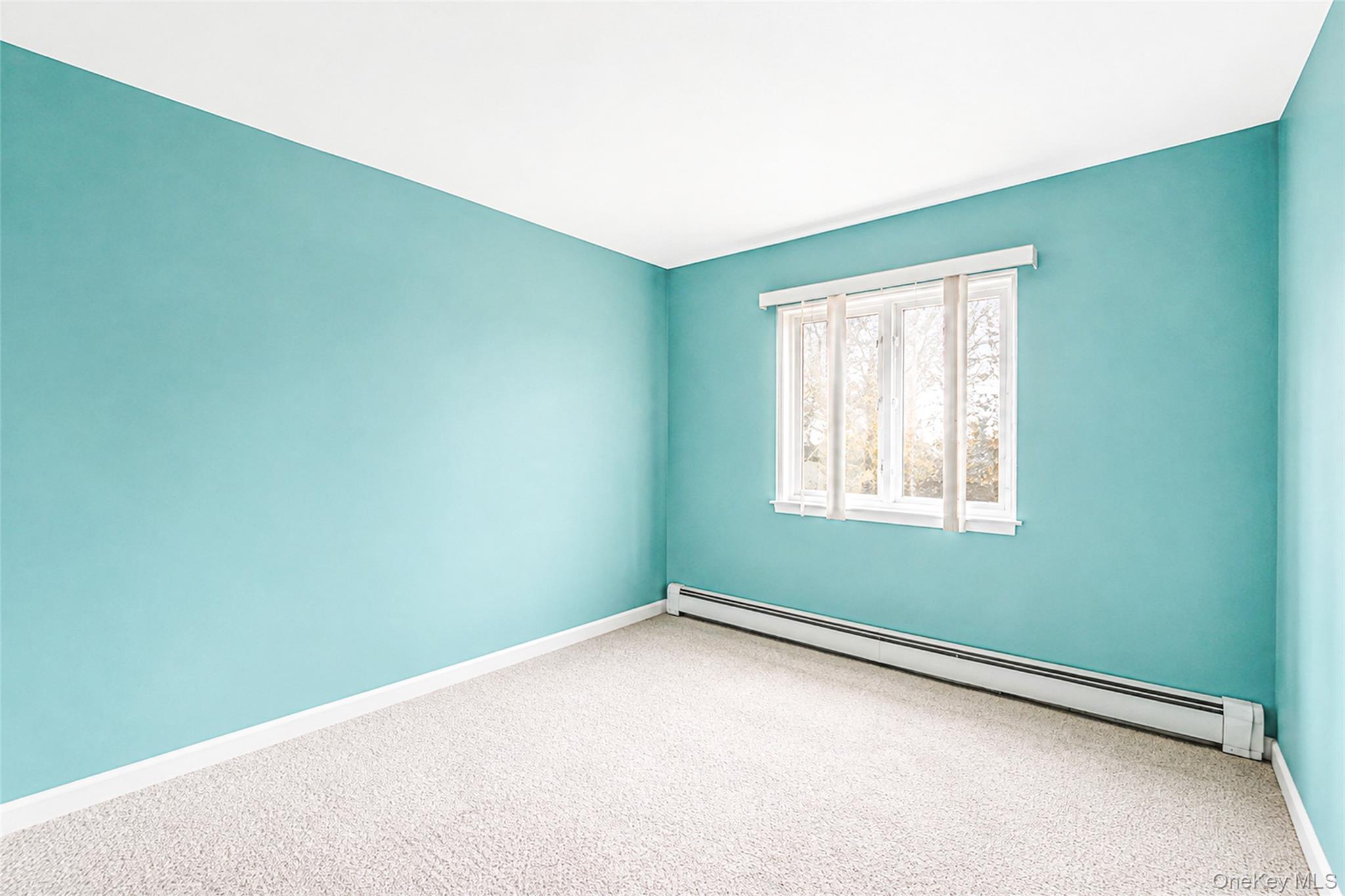 Single Family N Virginia Avenue Nassau County, NY 11758, MLS-1047770-9