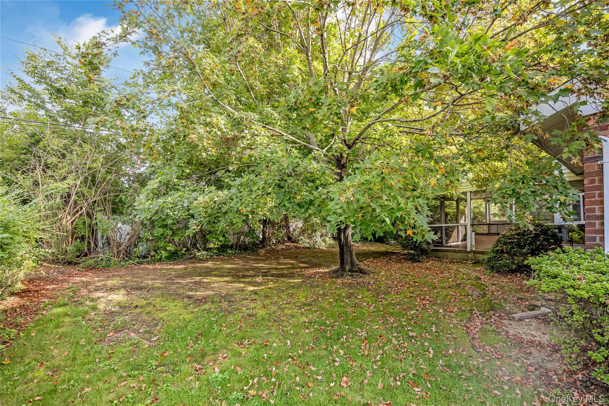 Single Family Randy Lane Nassau County, NY 11803, MLS-1047771-33