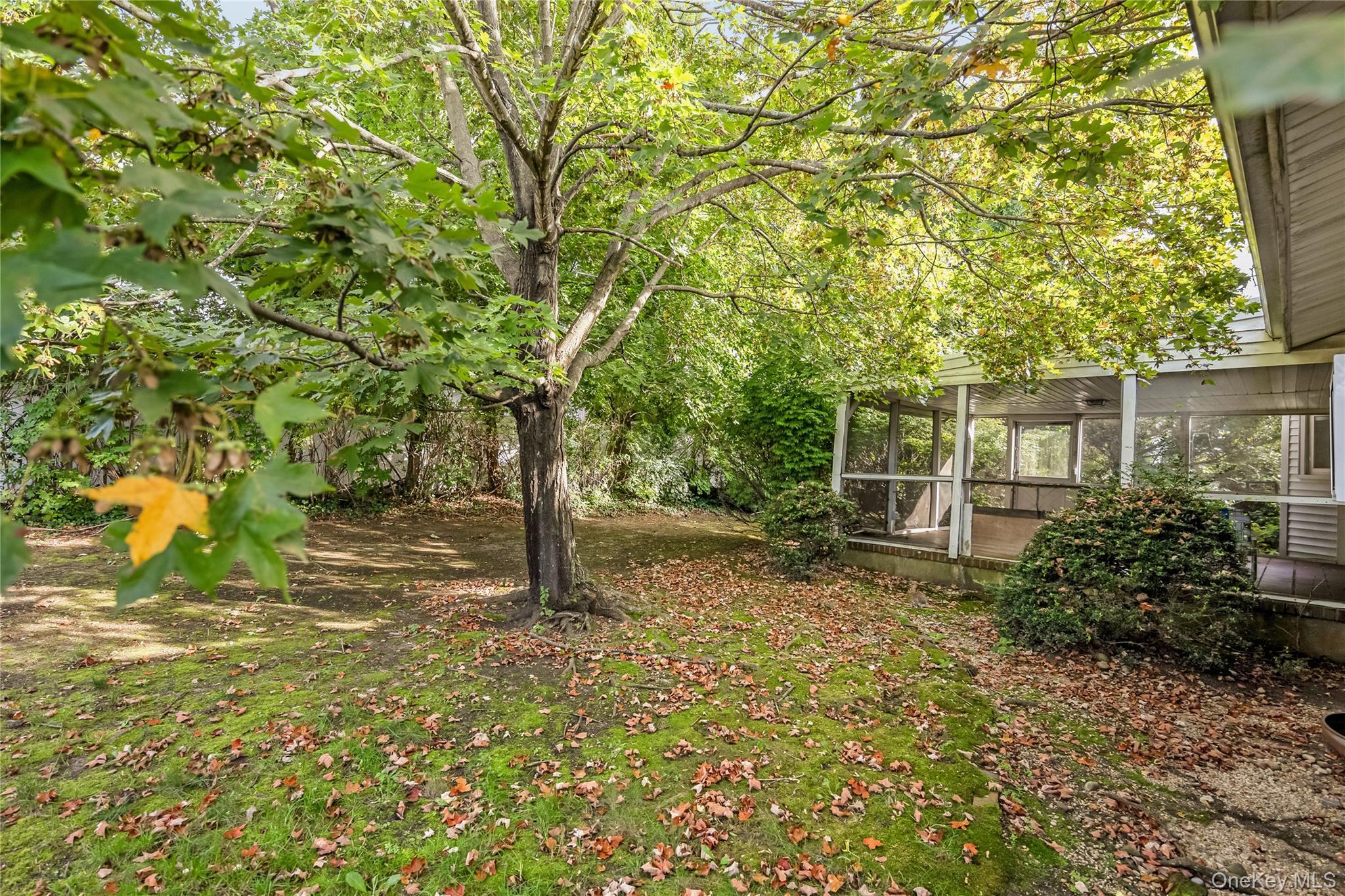 Single Family Randy Lane Nassau County, NY 11803, MLS-1047771-34