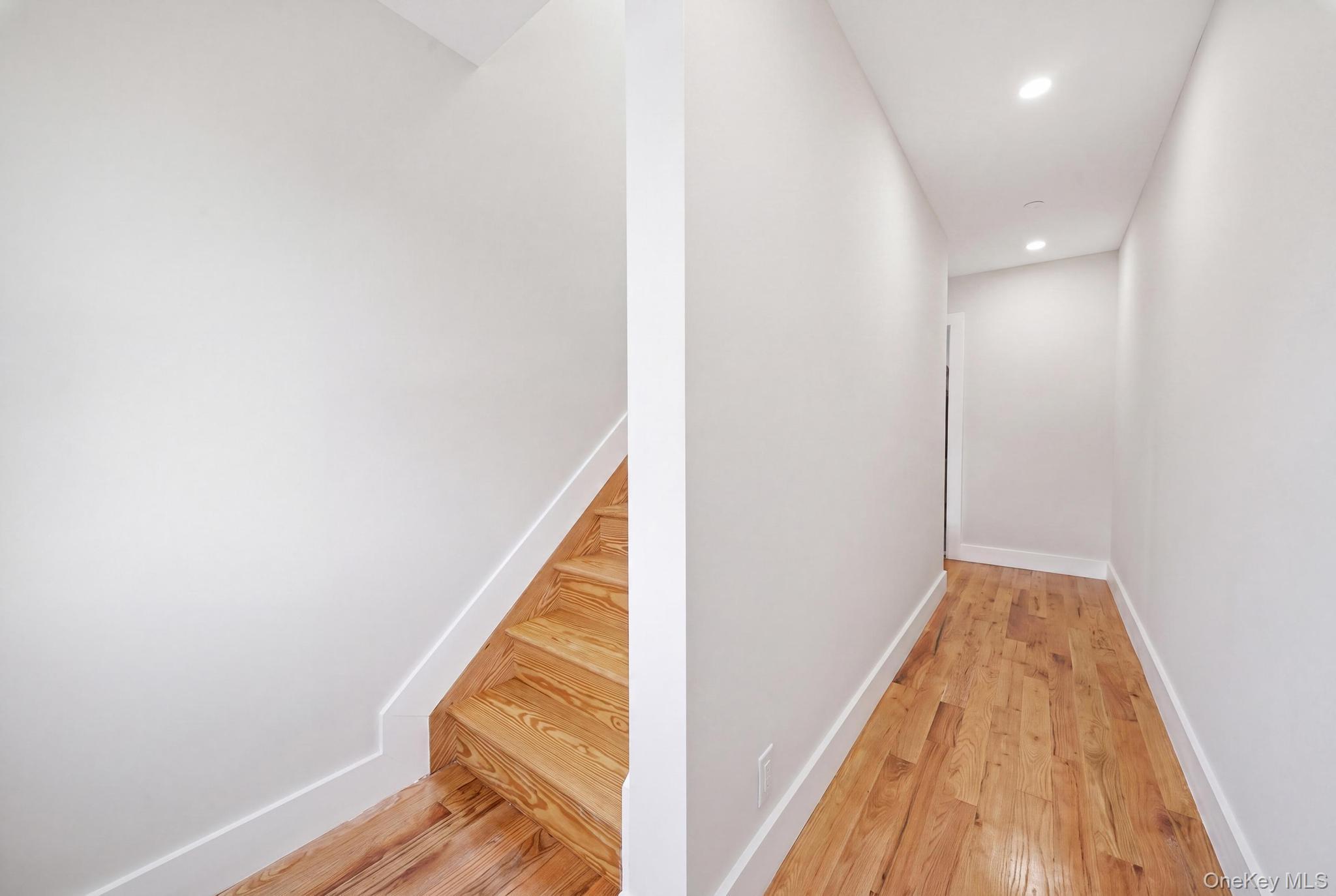 Single Family Hale Avenue Brooklyn, NY 11208, MLS-1047792-21