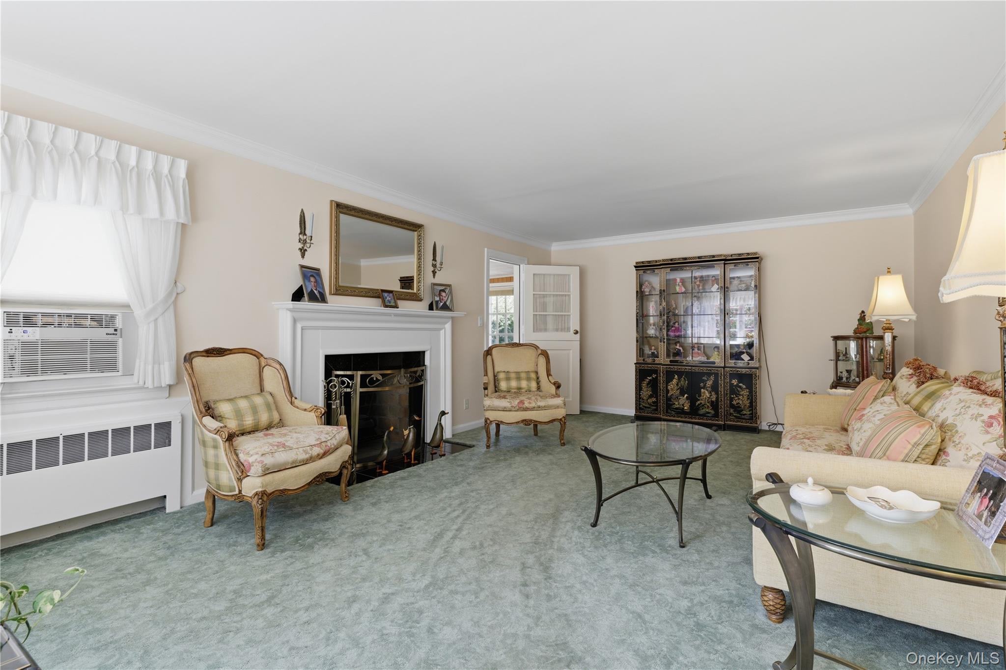 Single Family Beech Court Nassau County, NY 11565, MLS-1047866-4