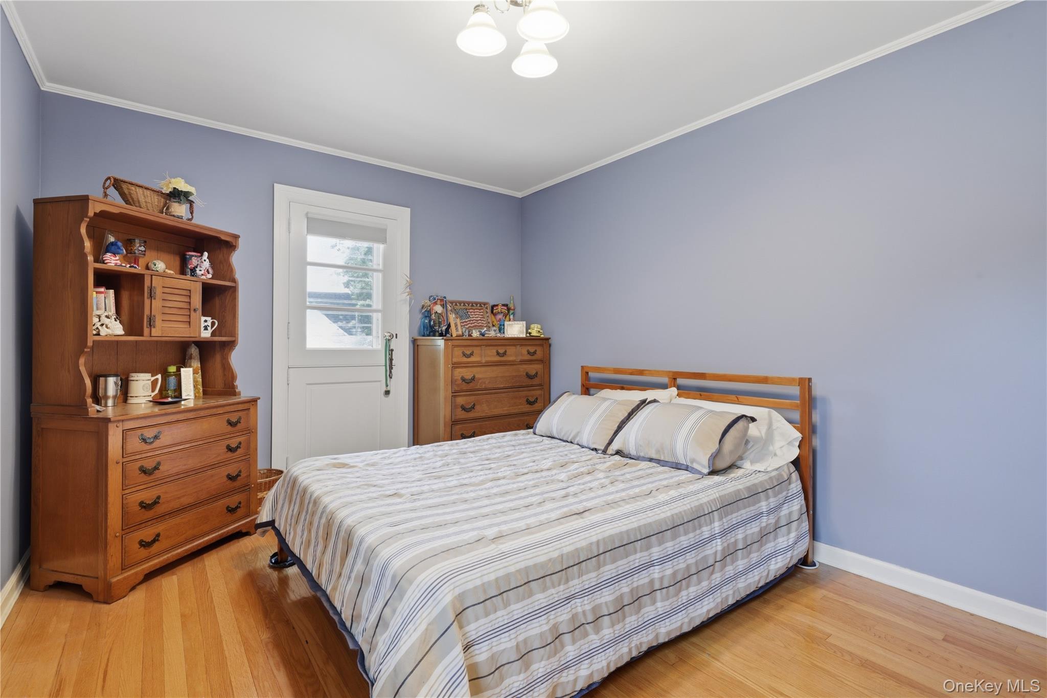 Single Family Beech Court Nassau County, NY 11565, MLS-1047866-9