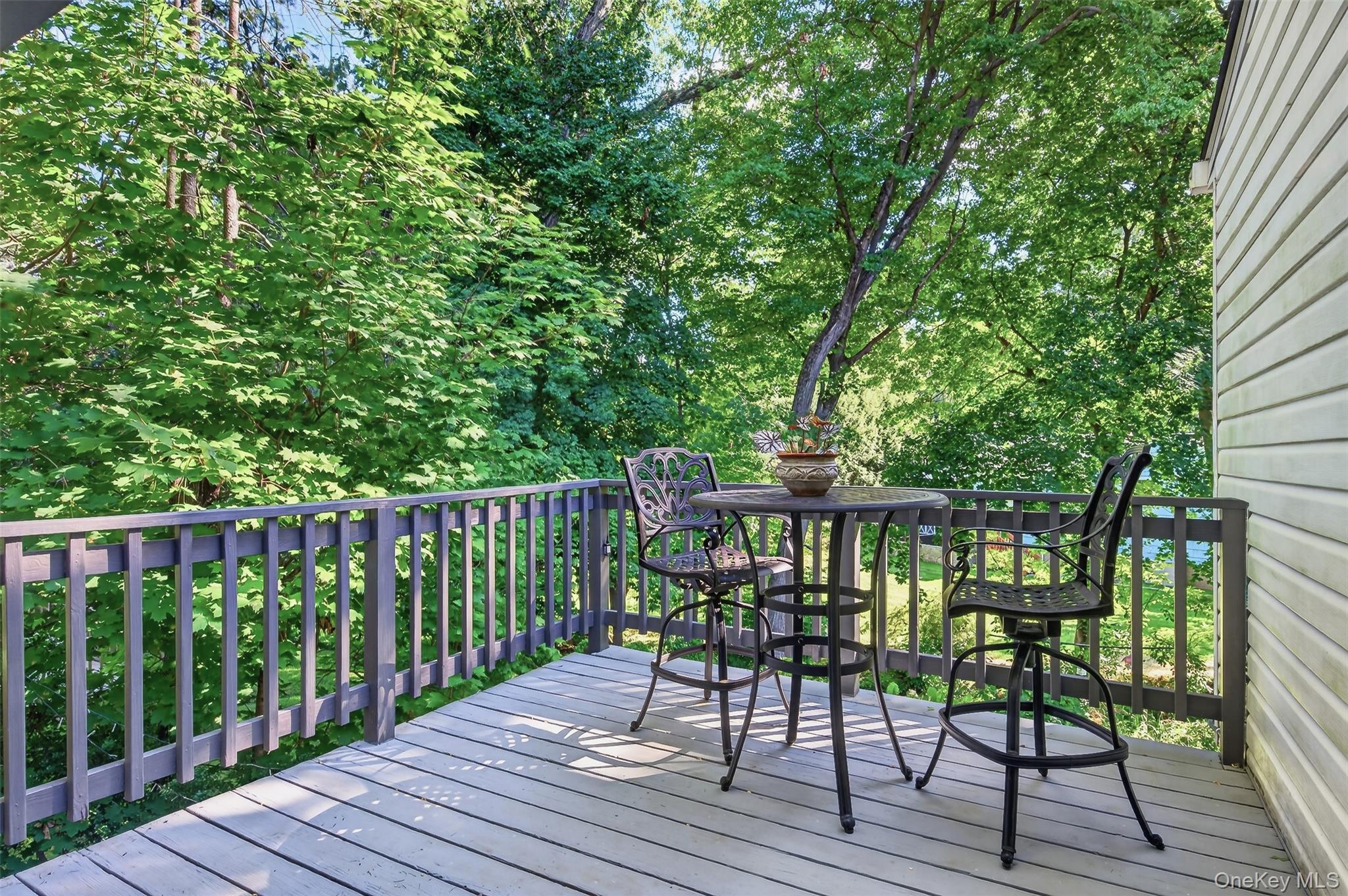 Single Family Anpell Drive Westchester County, NY 10583, MLS-1047895-15