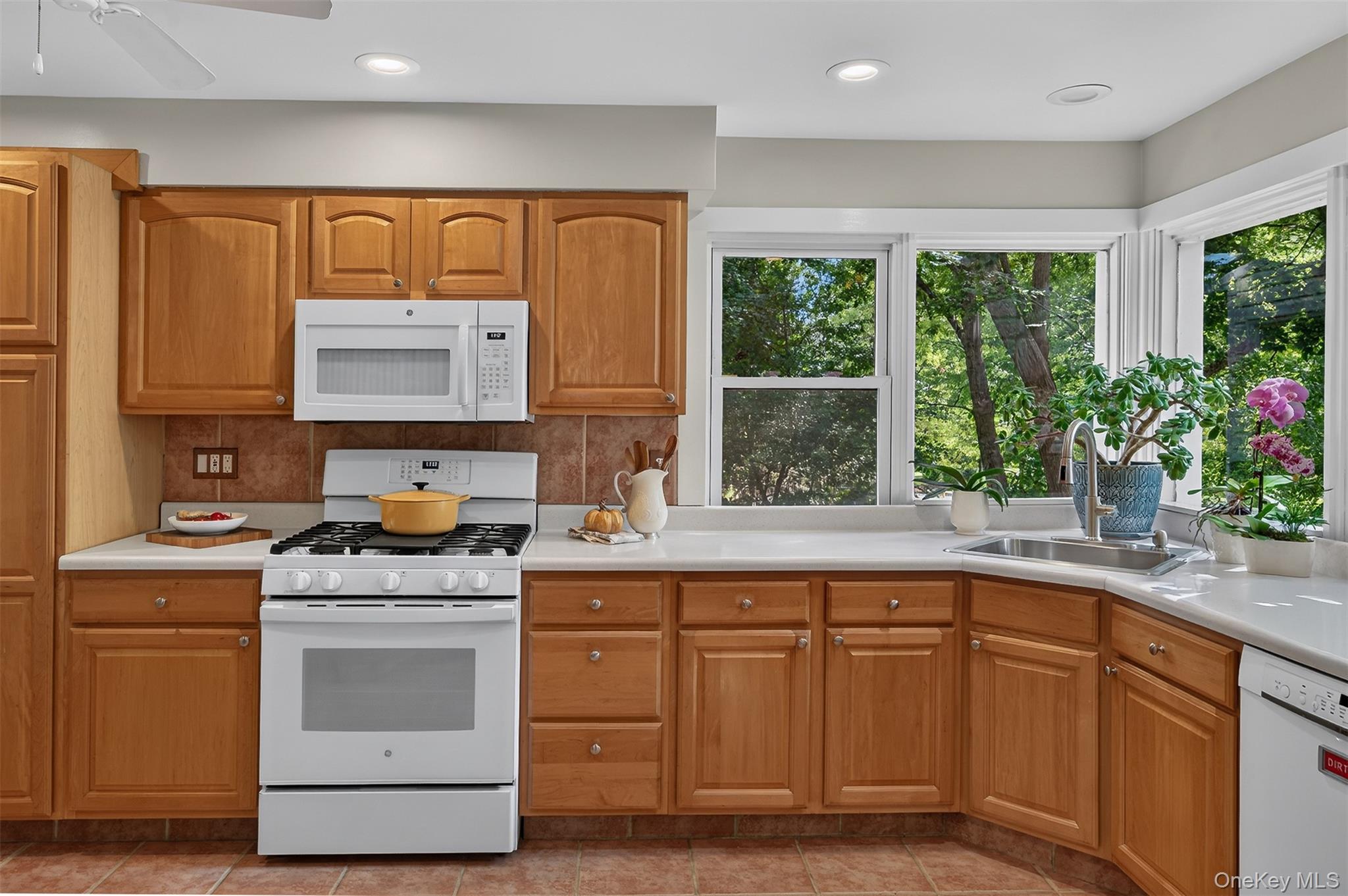 Single Family Anpell Drive Westchester County, NY 10583, MLS-1047895-17