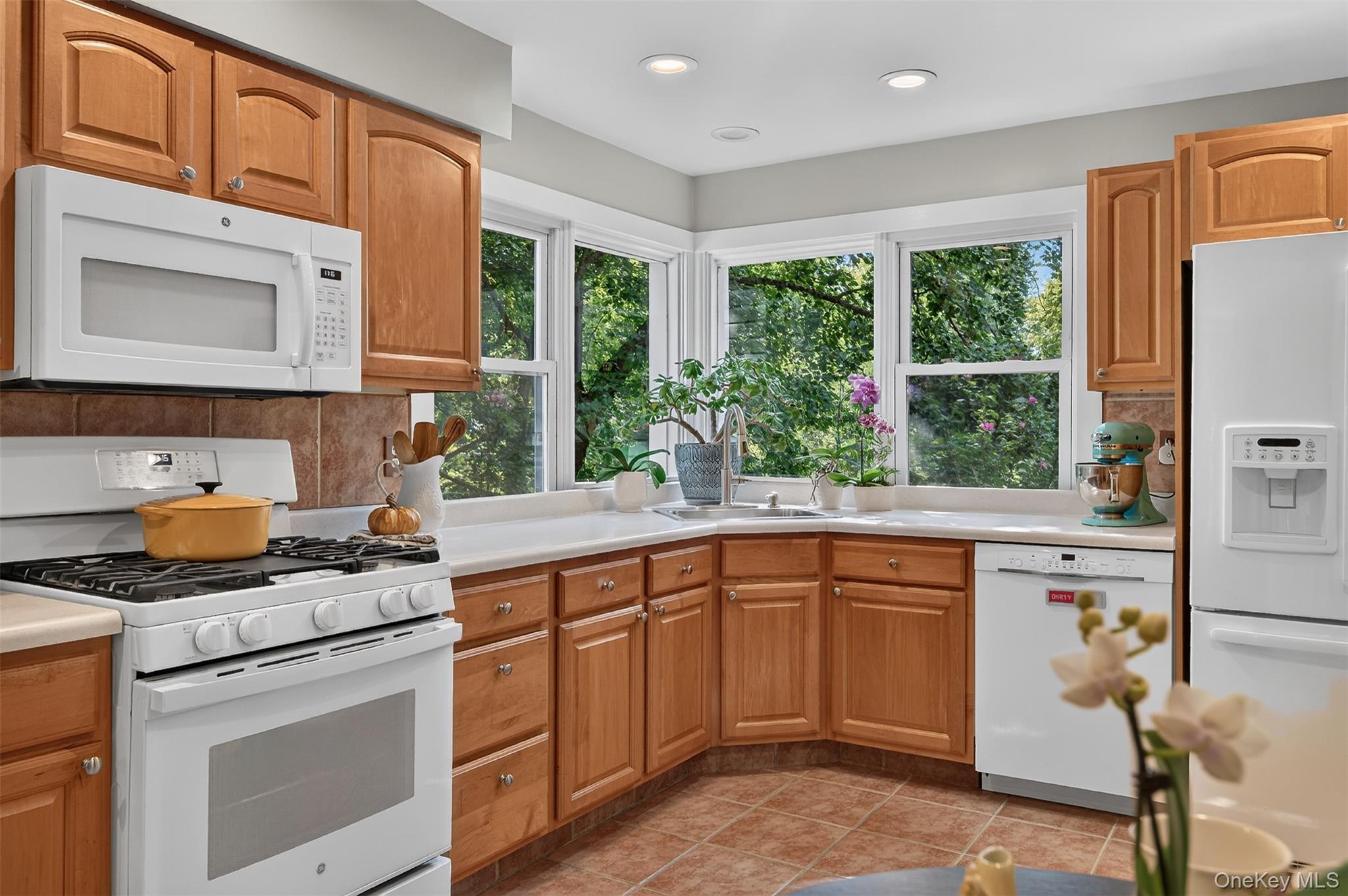 Single Family Anpell Drive Westchester County, NY 10583, MLS-1047895-18