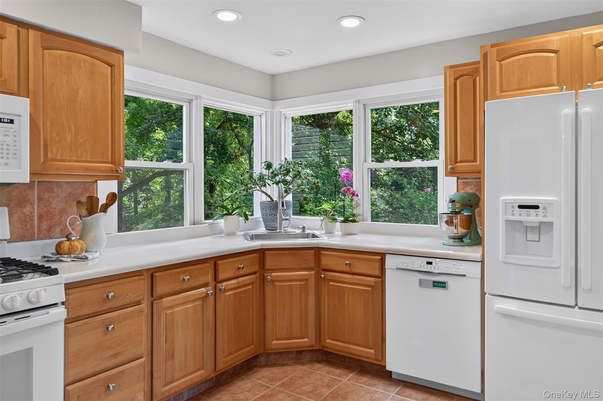 Single Family Anpell Drive Westchester County, NY 10583, MLS-1047895-20