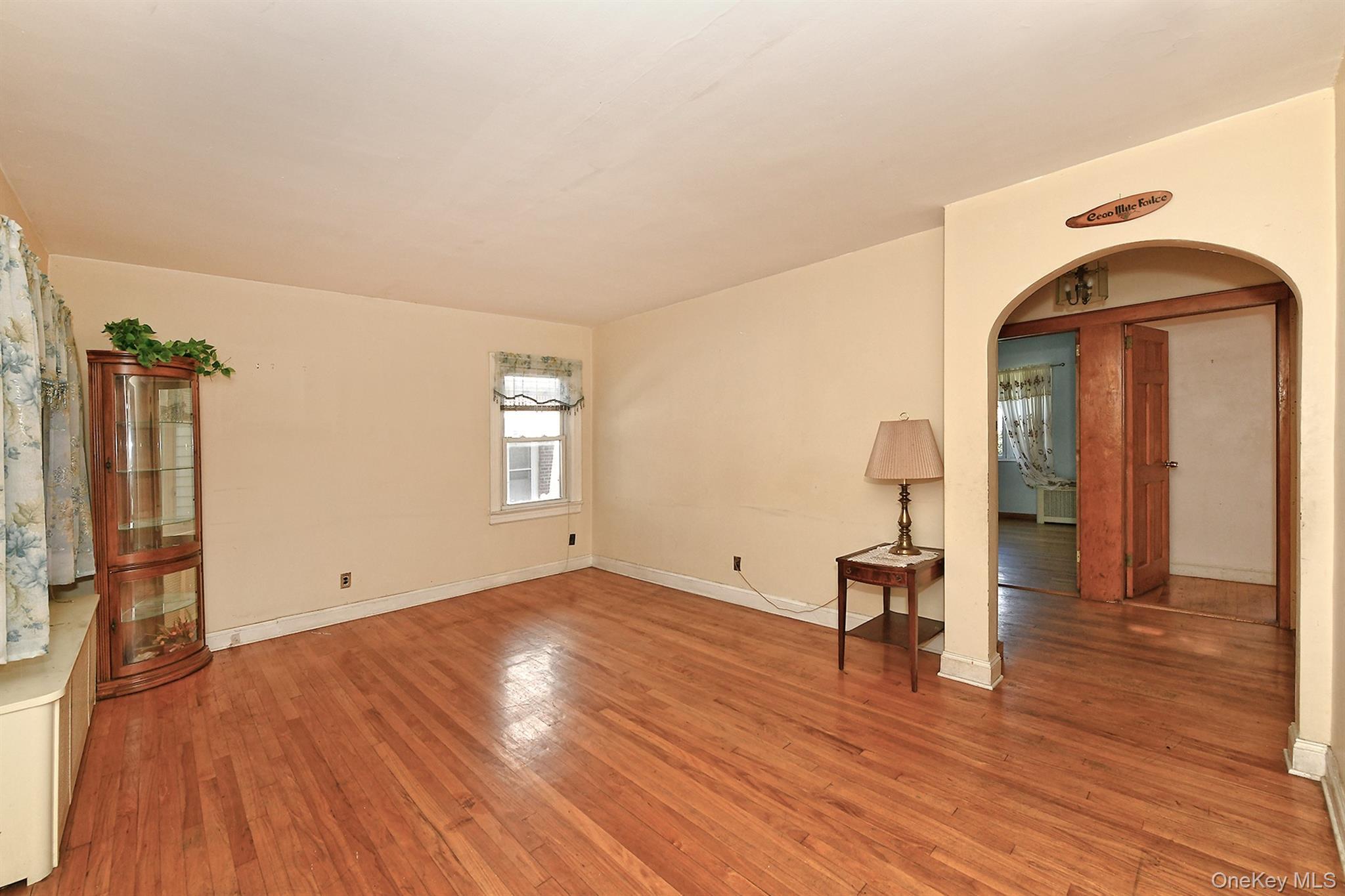 Single Family Hull Avenue Nassau County, NY 11040, MLS-1047936-8