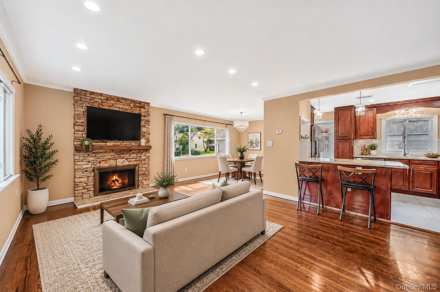 Single Family Willets Drive Nassau County, NY 11791, MLS-1048009-3