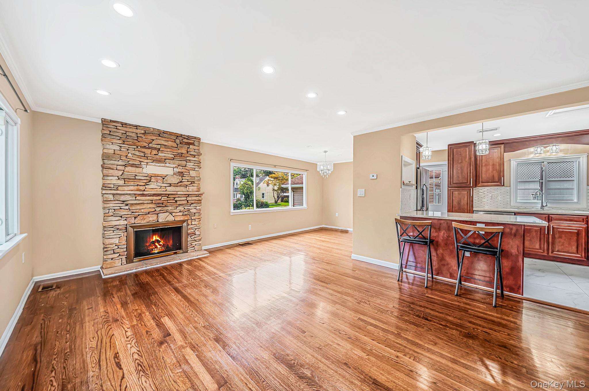 Single Family Willets Drive Nassau County, NY 11791, MLS-1048009-4