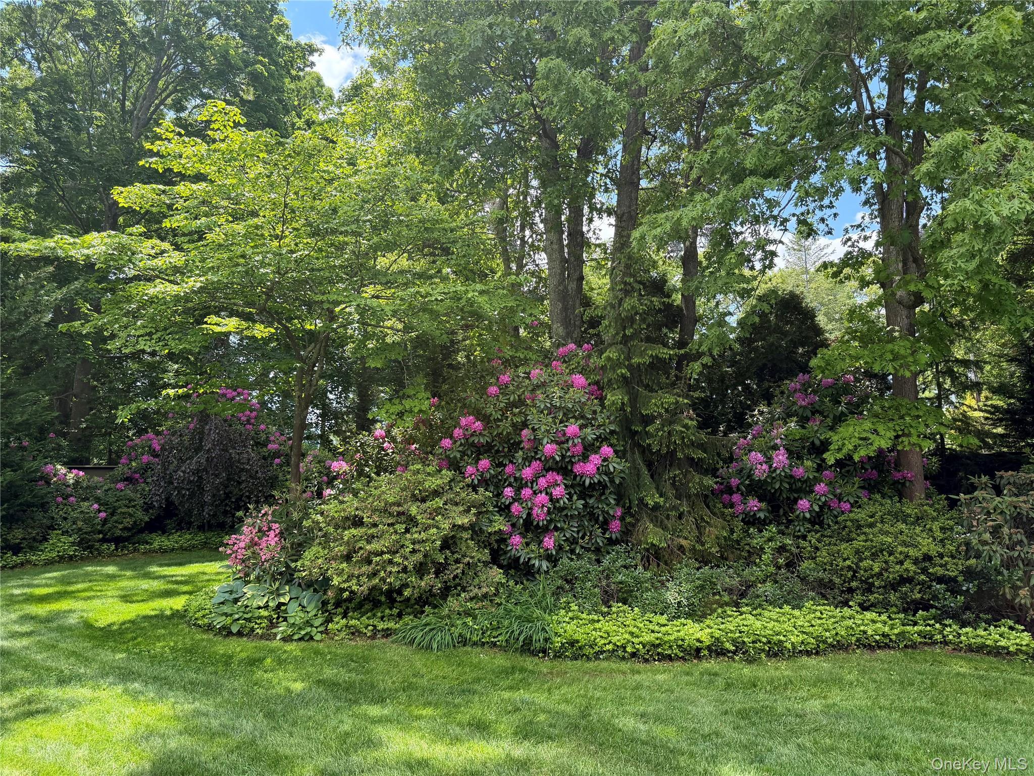 Single Family Daly Court Suffolk County, NY 11901, MLS-1048021-19
