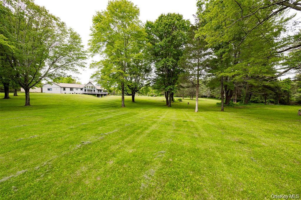 Single Family Clinton Corners Road Dutchess County, NY 12578, MLS-1048041-36