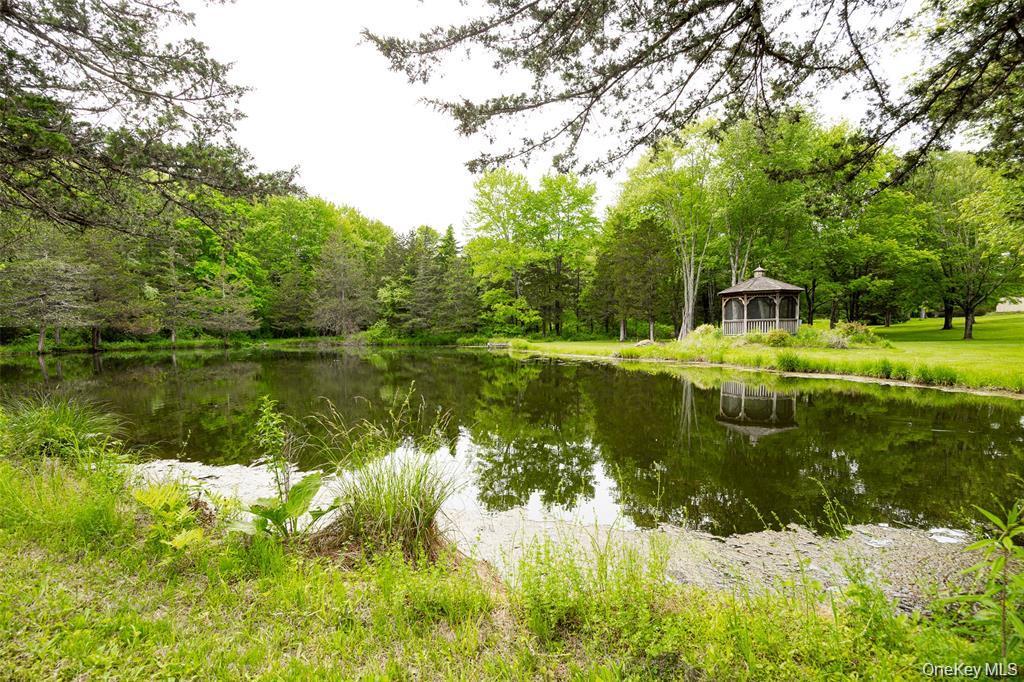 Single Family Clinton Corners Road Dutchess County, NY 12578, MLS-1048041-37