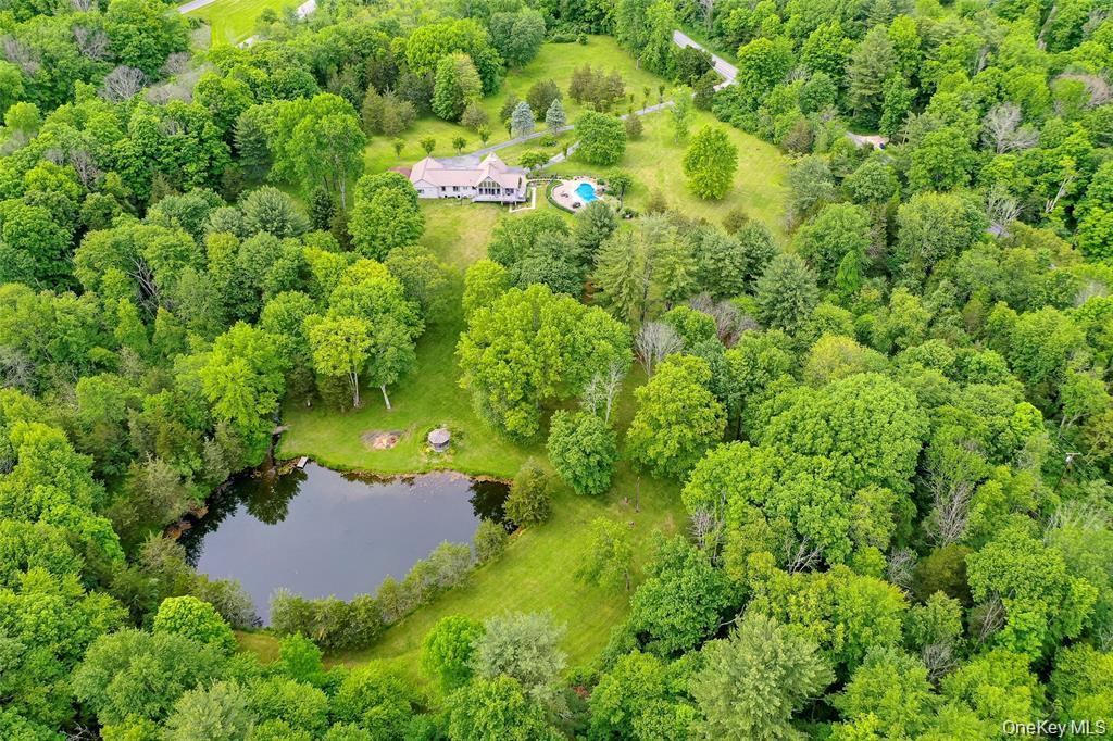 Single Family Clinton Corners Road Dutchess County, NY 12578, MLS-1048041-4