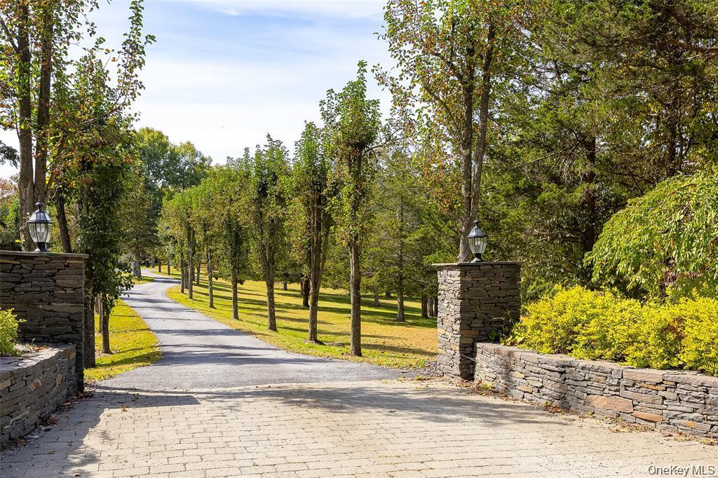 Single Family Clinton Corners Road  Dutchess County, NY 12578, MLS-1048041-41