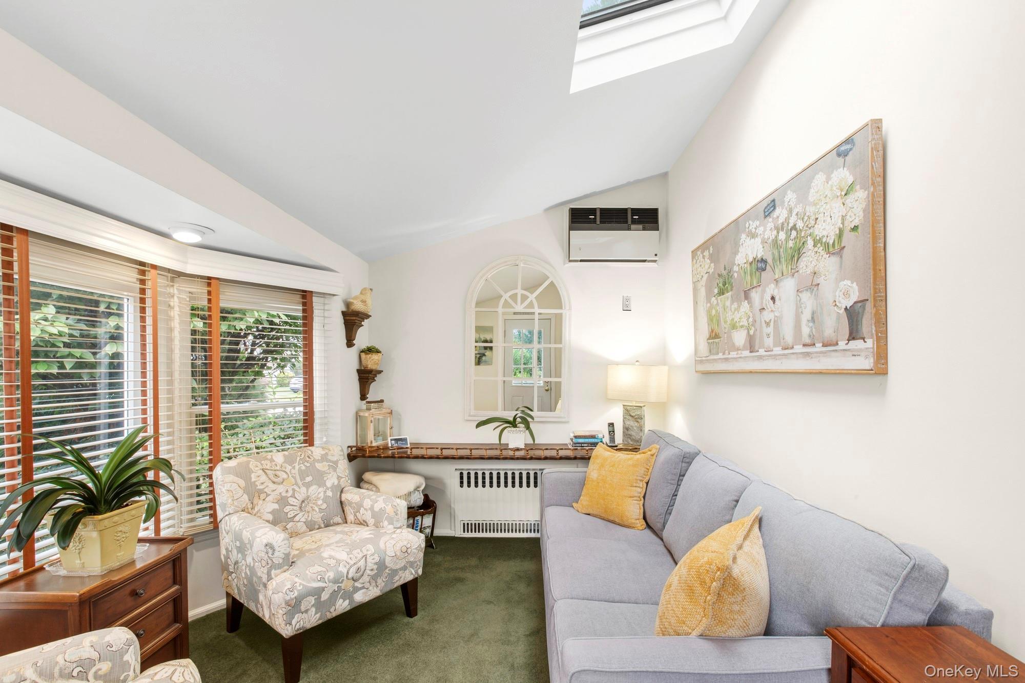 Single Family Woodlawn Avenue Nassau County, NY 11581, MLS-1048089-3