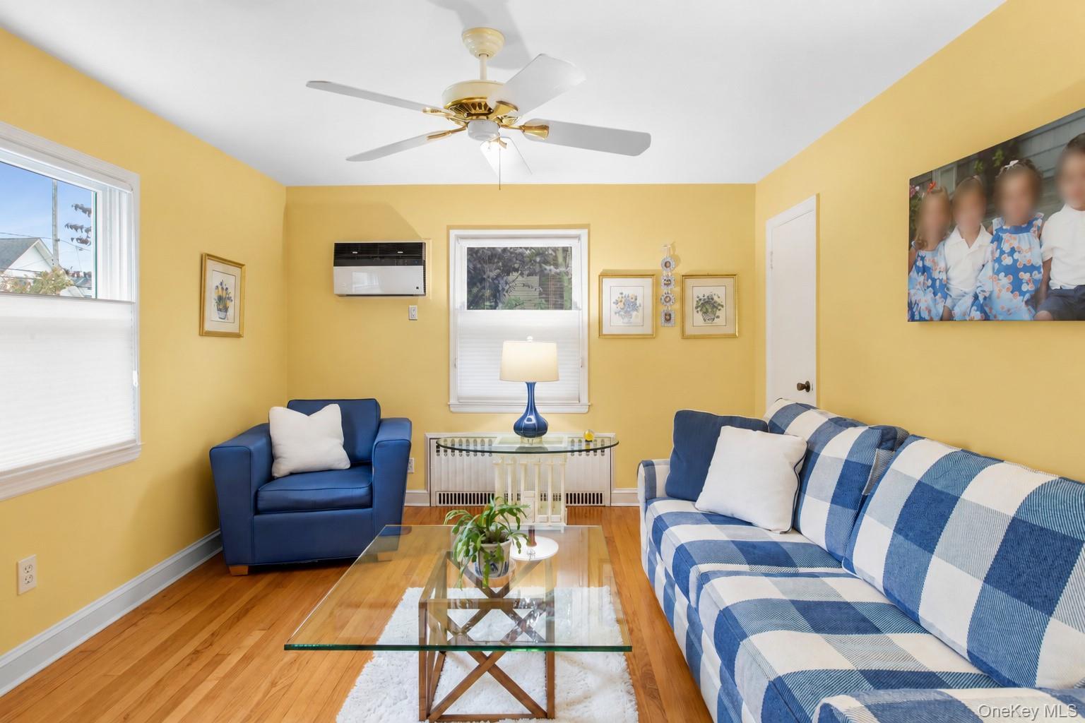 Single Family Woodlawn Avenue Nassau County, NY 11581, MLS-1048089-6