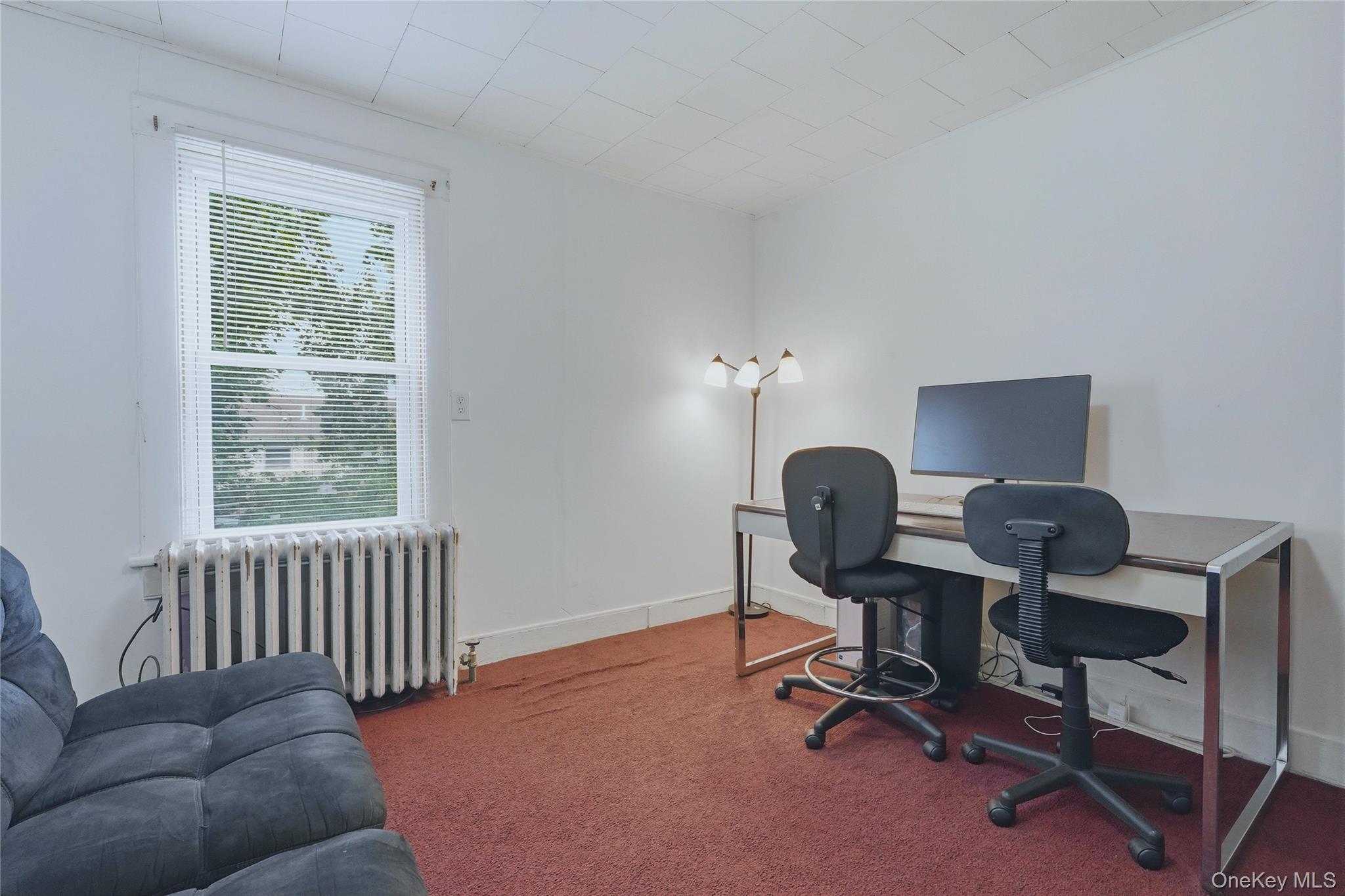 Single Family Lucas Avenue  Ulster County, NY 12401, MLS-1048155-18