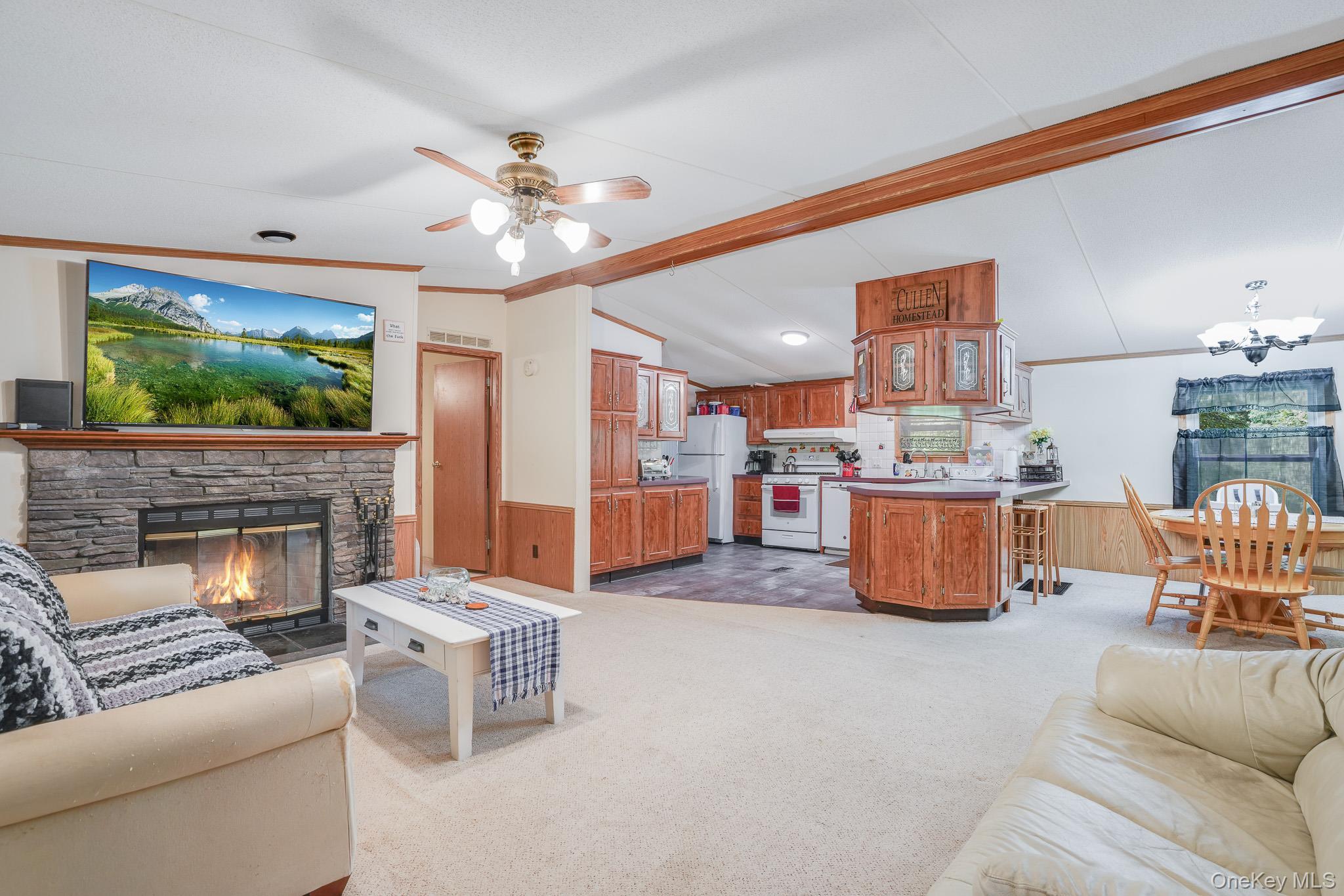 Single Family Forest Drive  Dutchess County, NY 12538, MLS-1048169-3