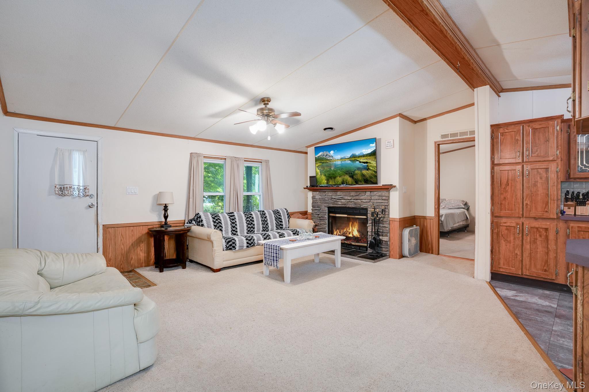 Single Family Forest Drive  Dutchess County, NY 12538, MLS-1048169-8