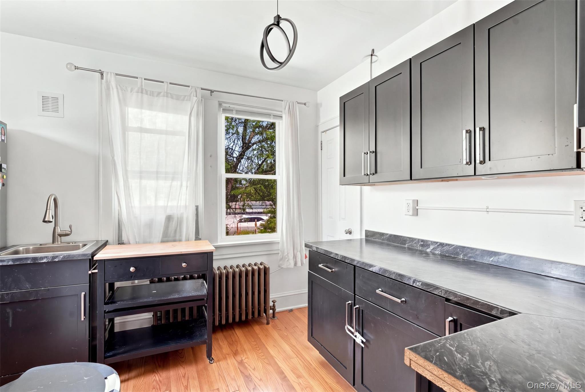 Single Family E Cedar Street Dutchess County, NY 12601, MLS-1048268-12