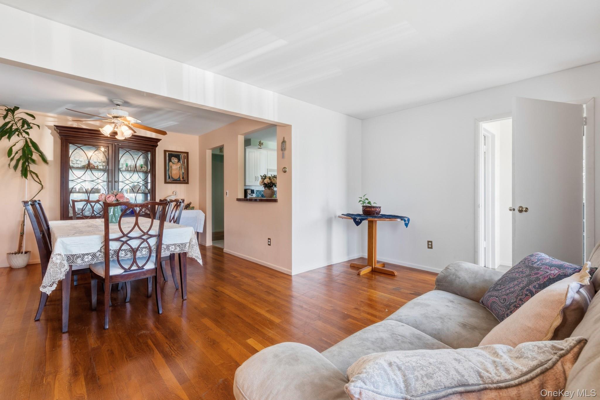 Single Family Acorn Place Nassau County, NY 11563, MLS-1048279-8