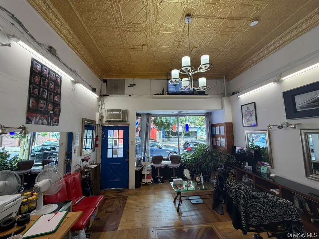 Commercial Lease Saratoga Avenue Brooklyn, NY 11233, MLS-1048283-10