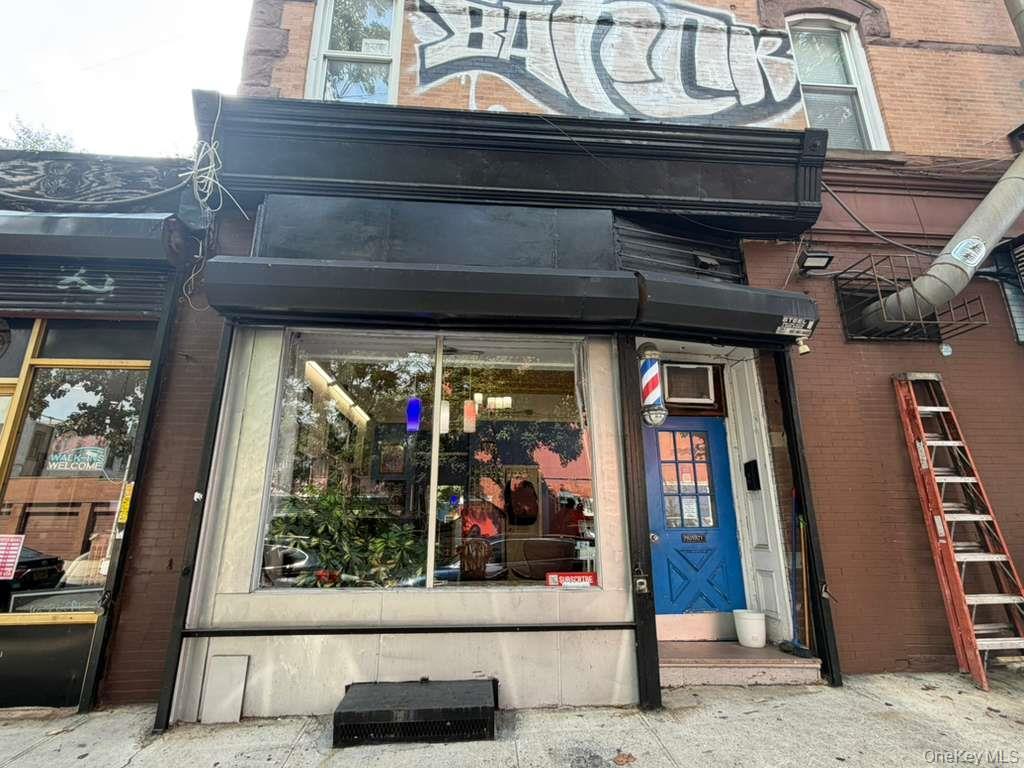 Commercial Lease Saratoga Avenue Brooklyn, NY 11233, MLS-1048283-16