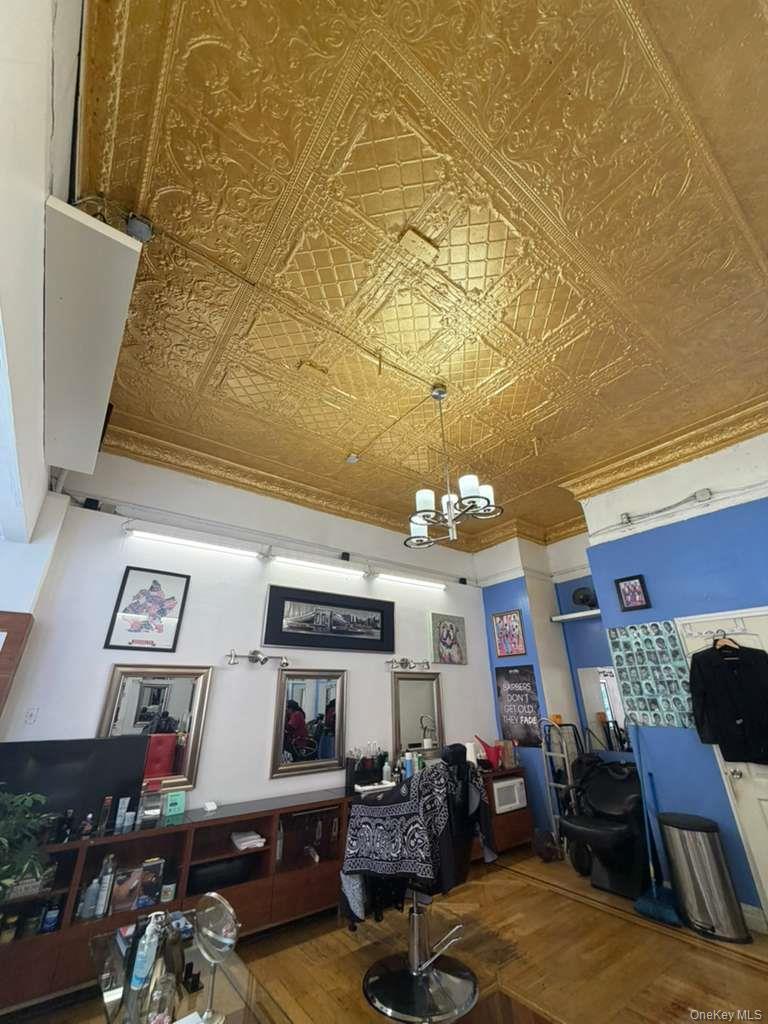 Commercial Lease Saratoga Avenue Brooklyn, NY 11233, MLS-1048283-2