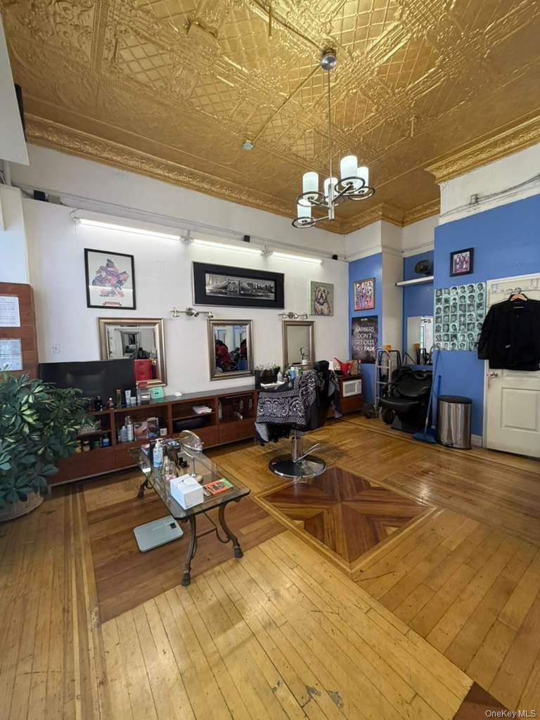 Commercial Lease Saratoga Avenue Brooklyn, NY 11233, MLS-1048283-3