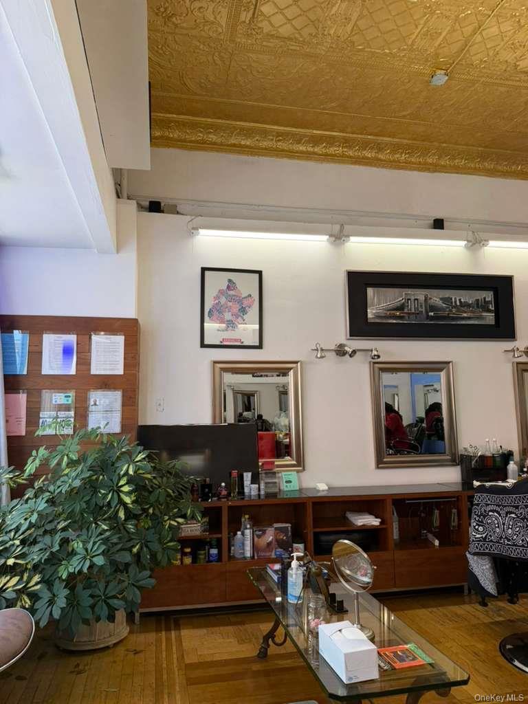 Commercial Lease Saratoga Avenue Brooklyn, NY 11233, MLS-1048283-8