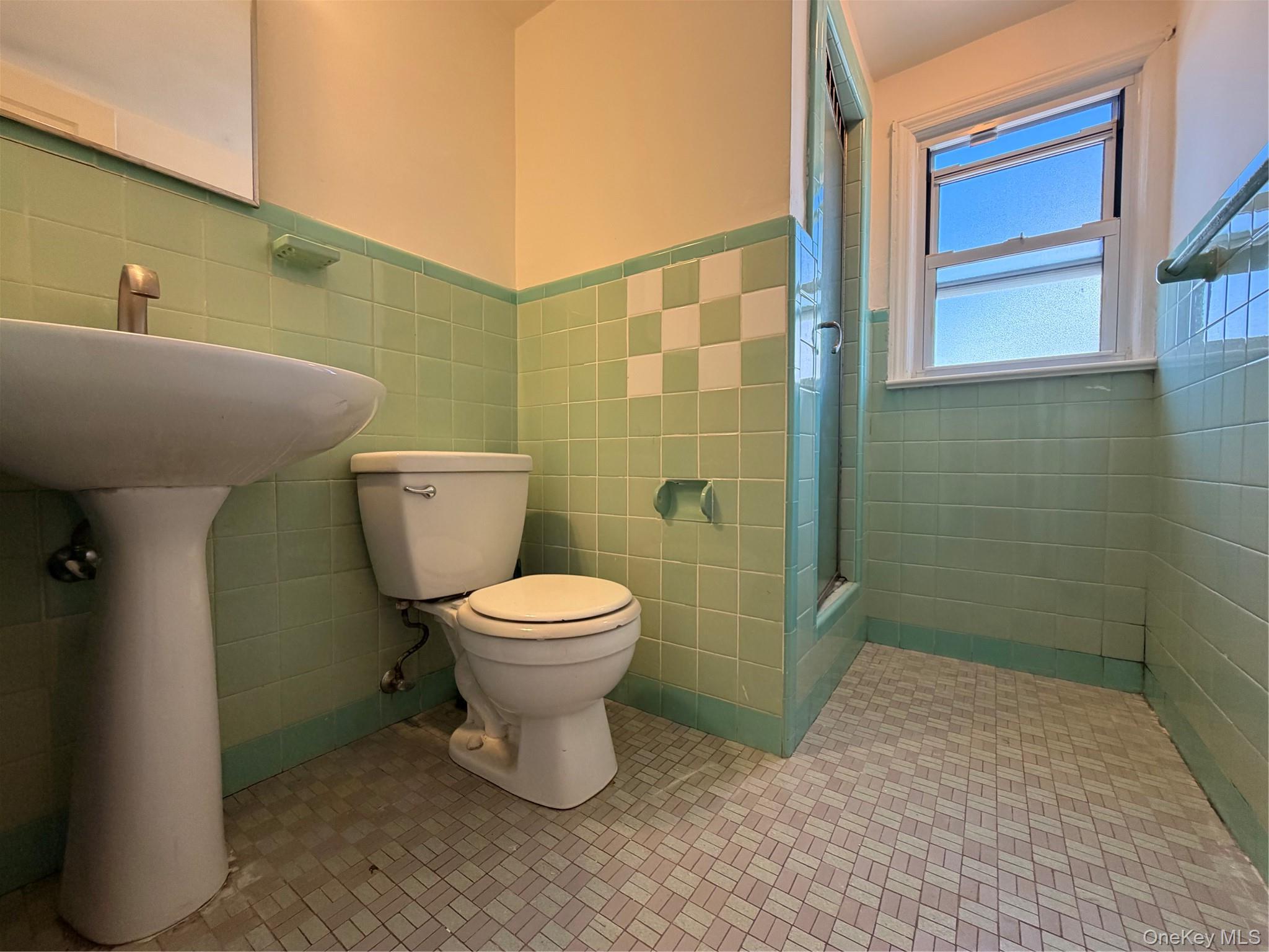 Single Family 258th Street  Queens, NY 11004, MLS-1048287-8