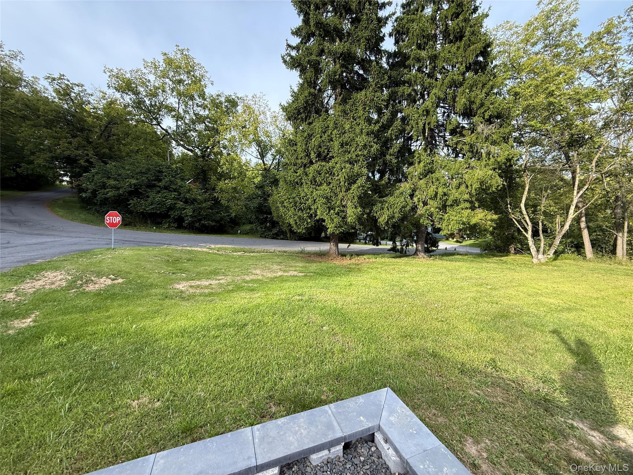 Single Family Walnut Park Lot 1 Lane  Ulster County, NY 12547, MLS-1048324-34