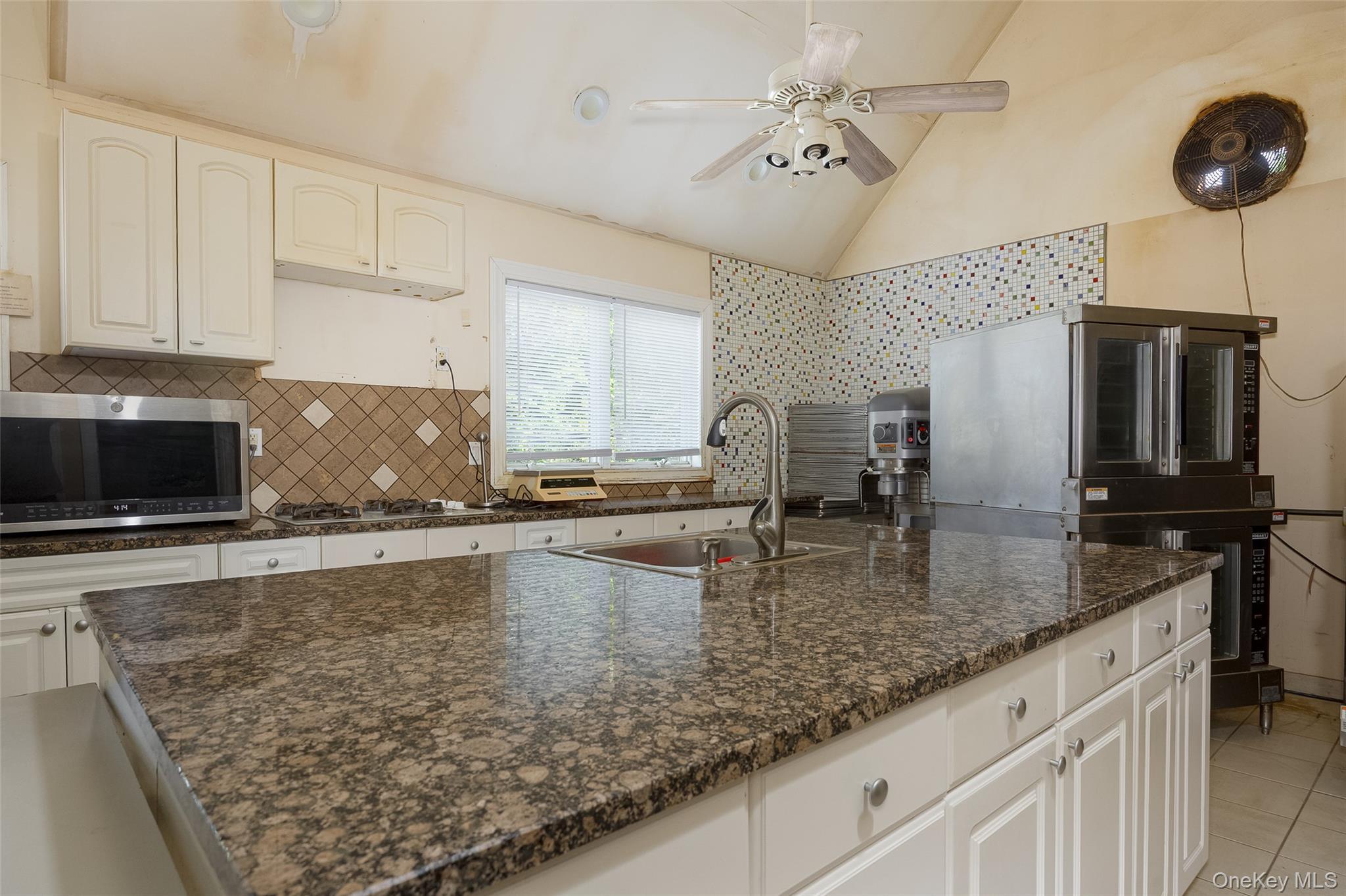 Single Family Vineyard Avenue  Ulster County, NY 12528, MLS-1048382-28
