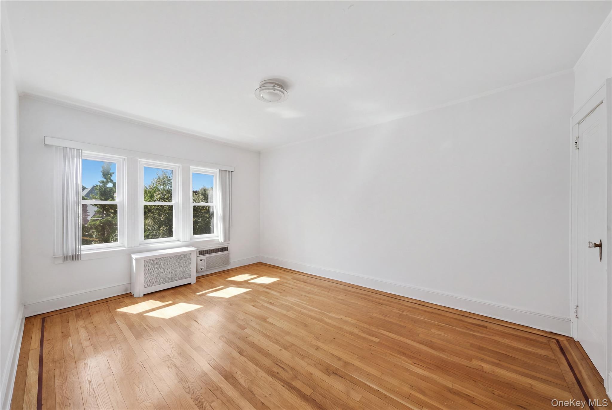 Single Family 82nd Place Queens, NY 11379, MLS-1048388-10