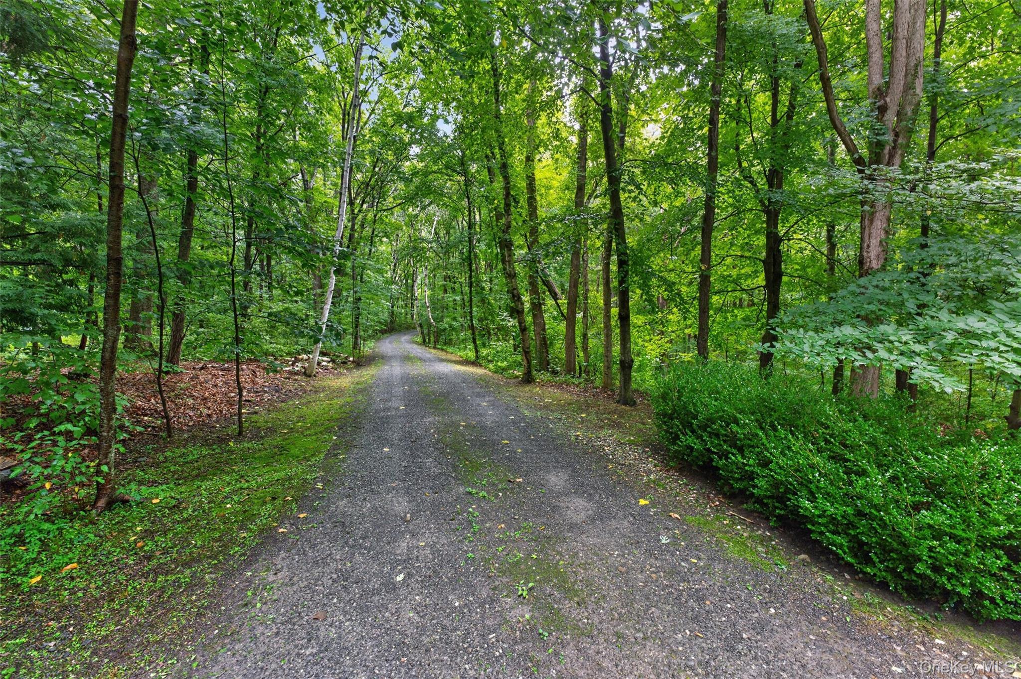 Single Family Under Mountain Road Columbia County, NY 12516, MLS-1048408-33